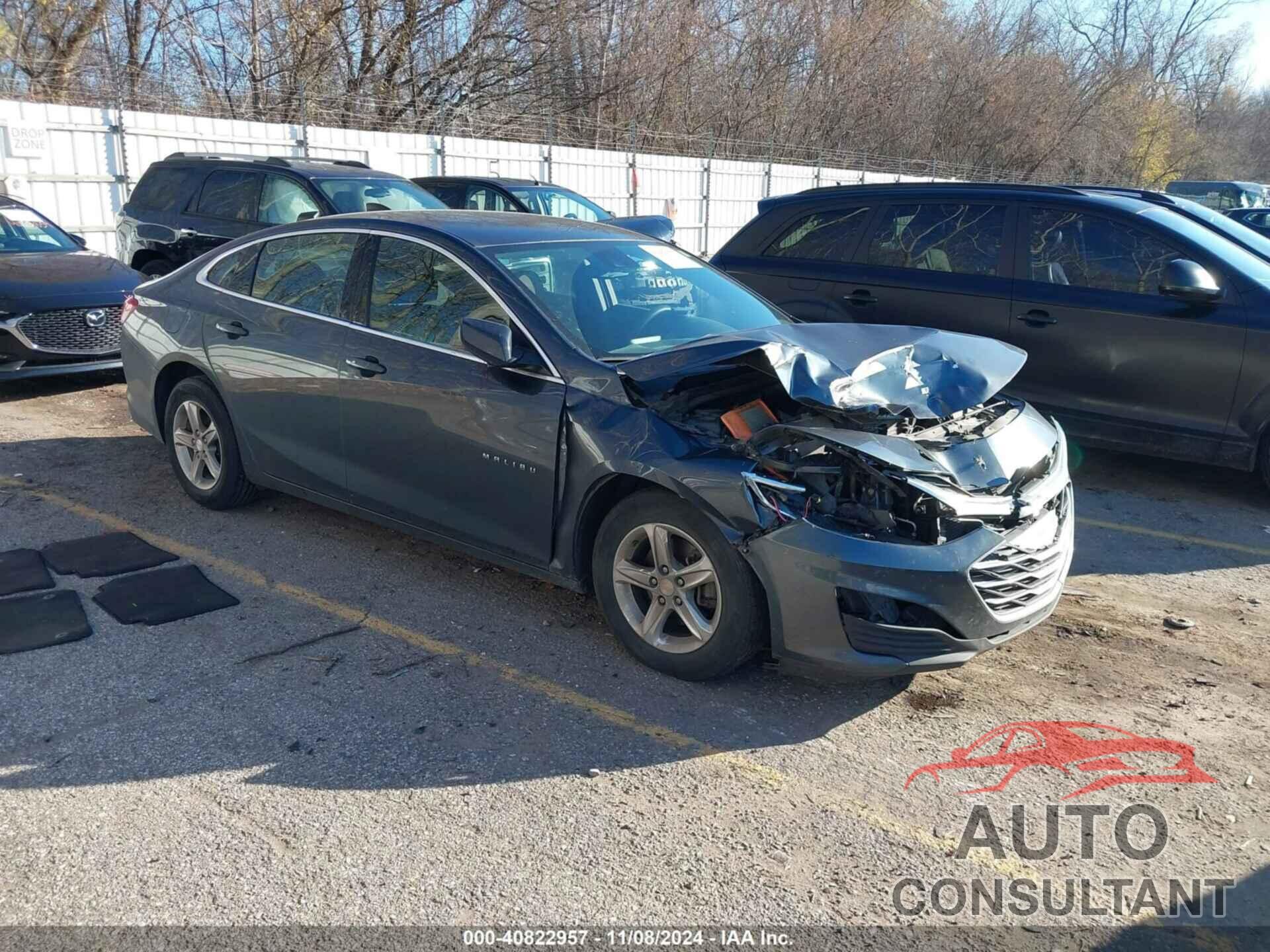 CHEVROLET MALIBU 2019 - 1G1ZC5ST7KF139232