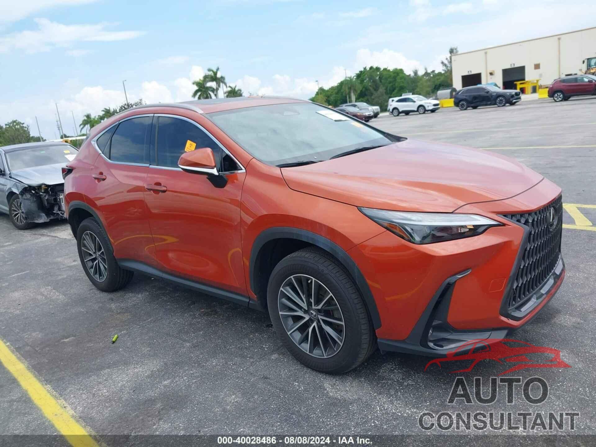 LEXUS NX 350 2023 - JTJAGCEZ4P2009529