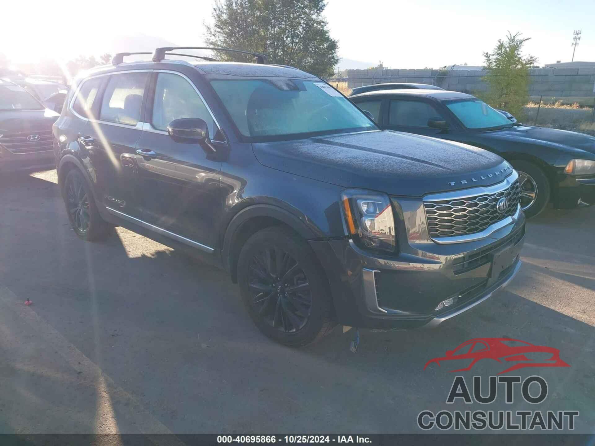 KIA TELLURIDE 2020 - 5XYP5DHCXLG033561