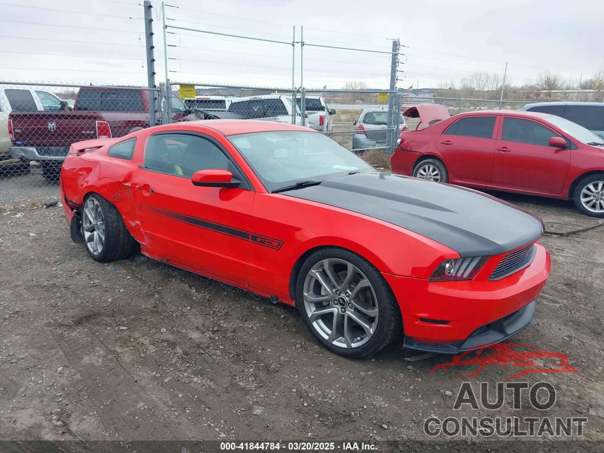 FORD MUSTANG 2011 - 1ZVBP8CF7B5125695