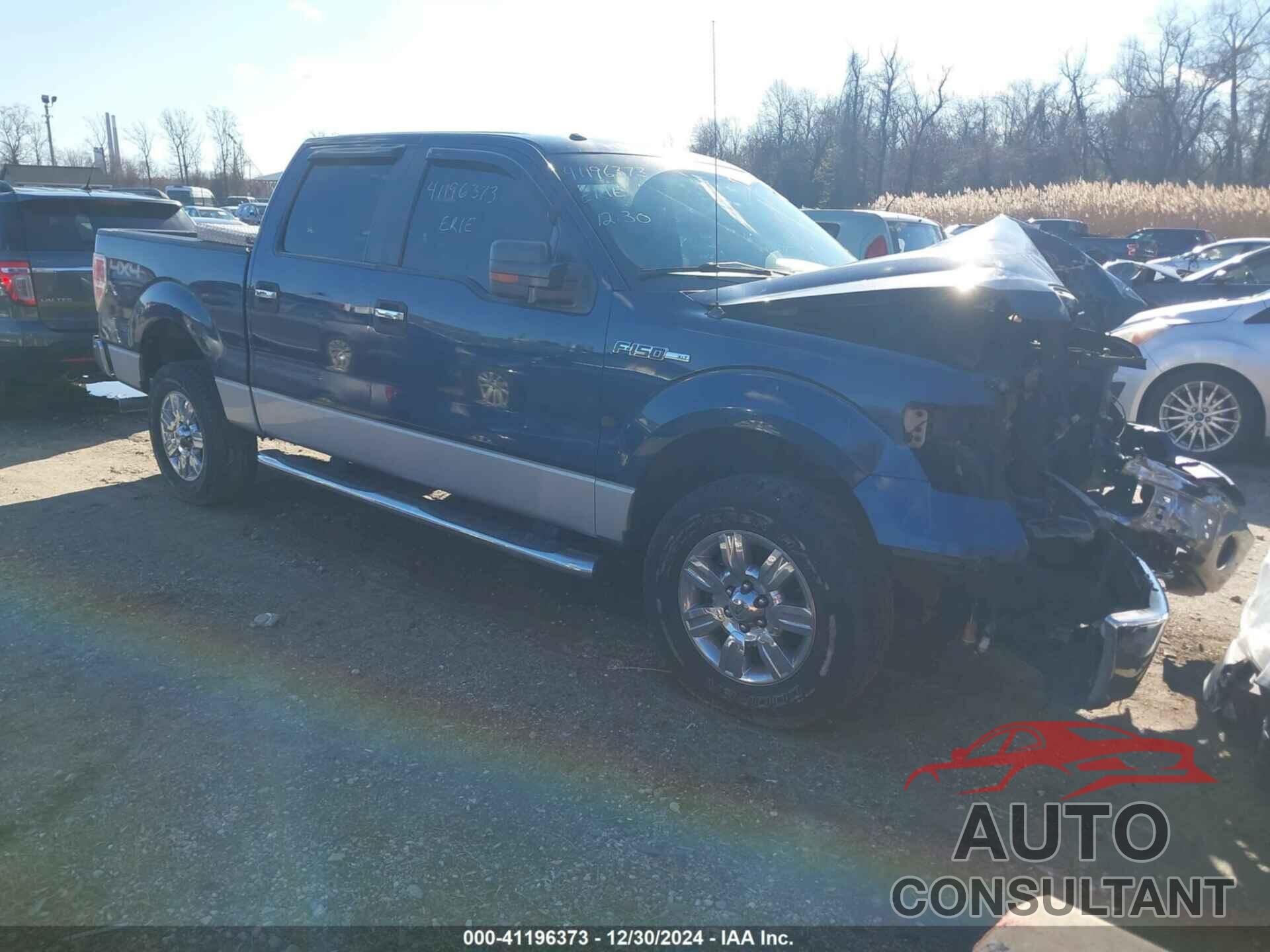 FORD F-150 2010 - 1FTEW1E8XAFC95485