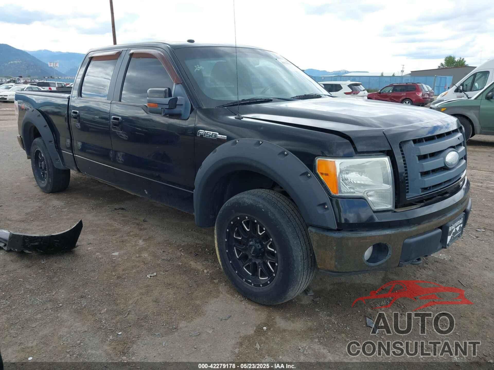FORD F-150 2009 - 1FTPW14V29FA87855