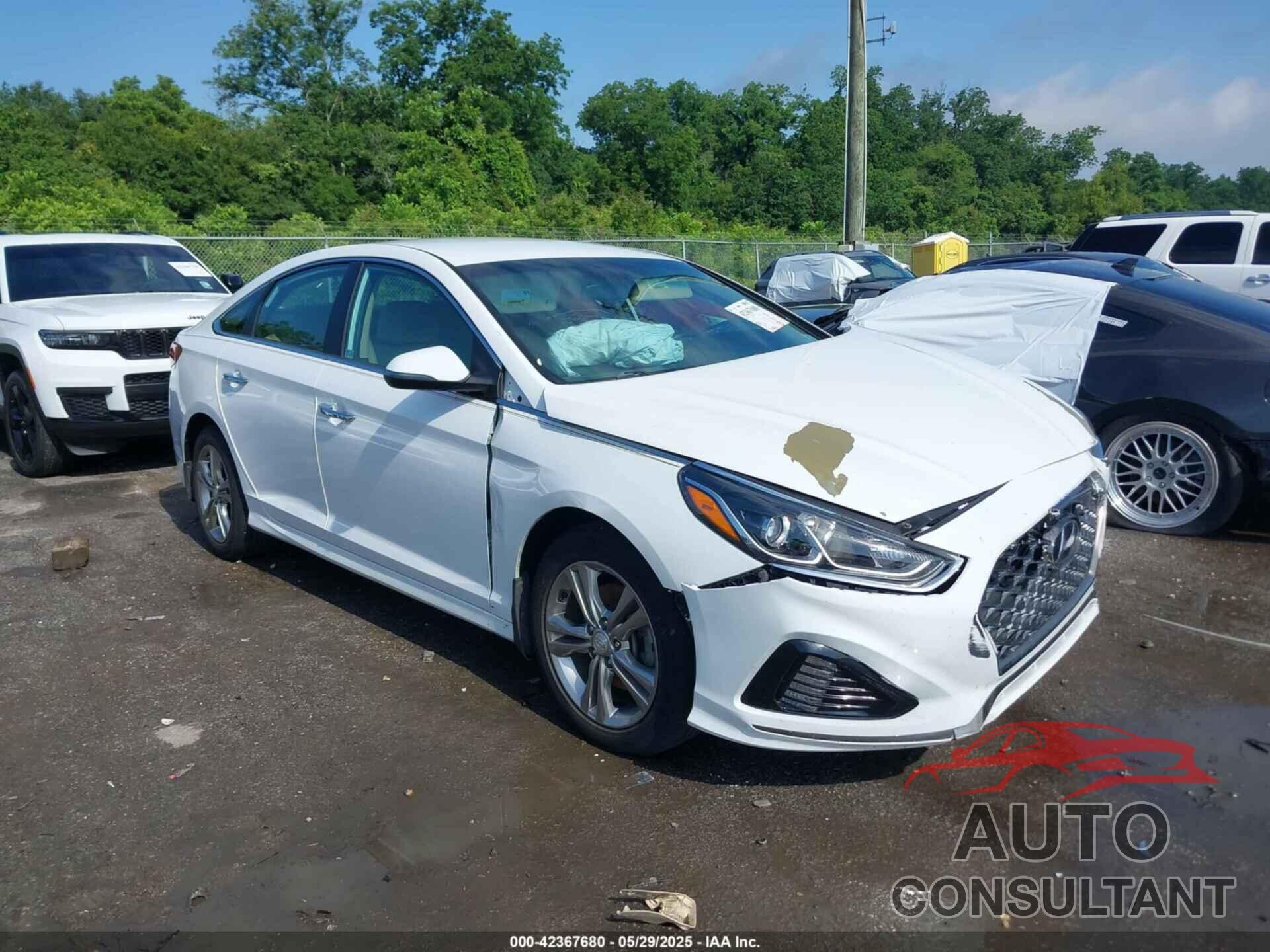 HYUNDAI SONATA 2019 - 5NPE34AF1KH785237