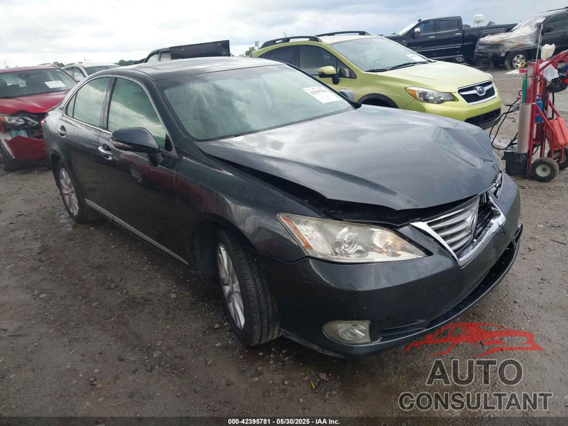LEXUS ES 350 2010 - JTHBK1EG8A2404604