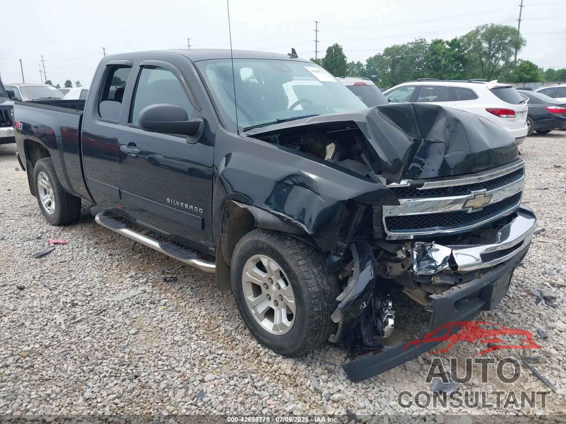 CHEVROLET SILVERADO 1500 2010 - 1GCSKSE36AZ298214