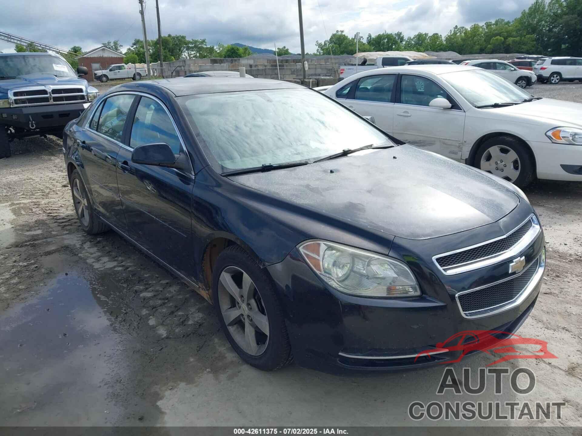 CHEVROLET MALIBU 2011 - 1G1ZC5E19BF162263