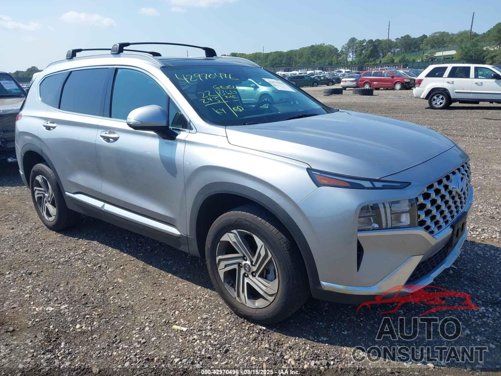 HYUNDAI SANTA FE 2023 - 5NMS3DAJ3PH646304