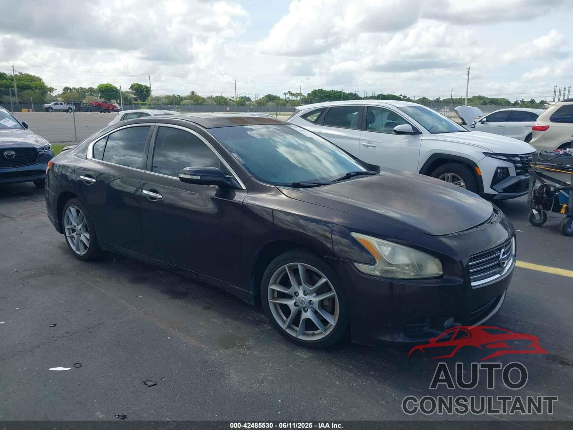 NISSAN MAXIMA 2010 - 1N4AA5AP6AC833298