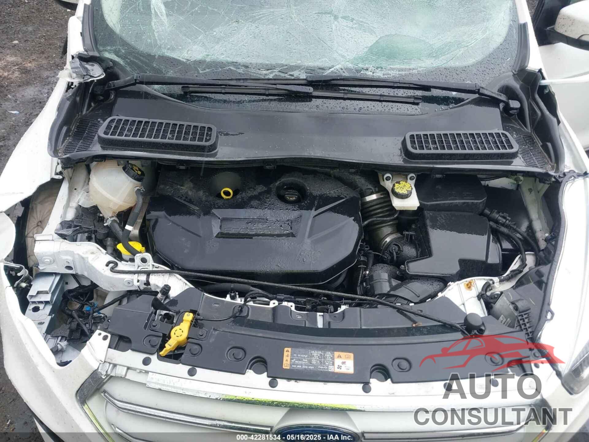 FORD ESCAPE 2019 - 1FMCU9J97KUA06551