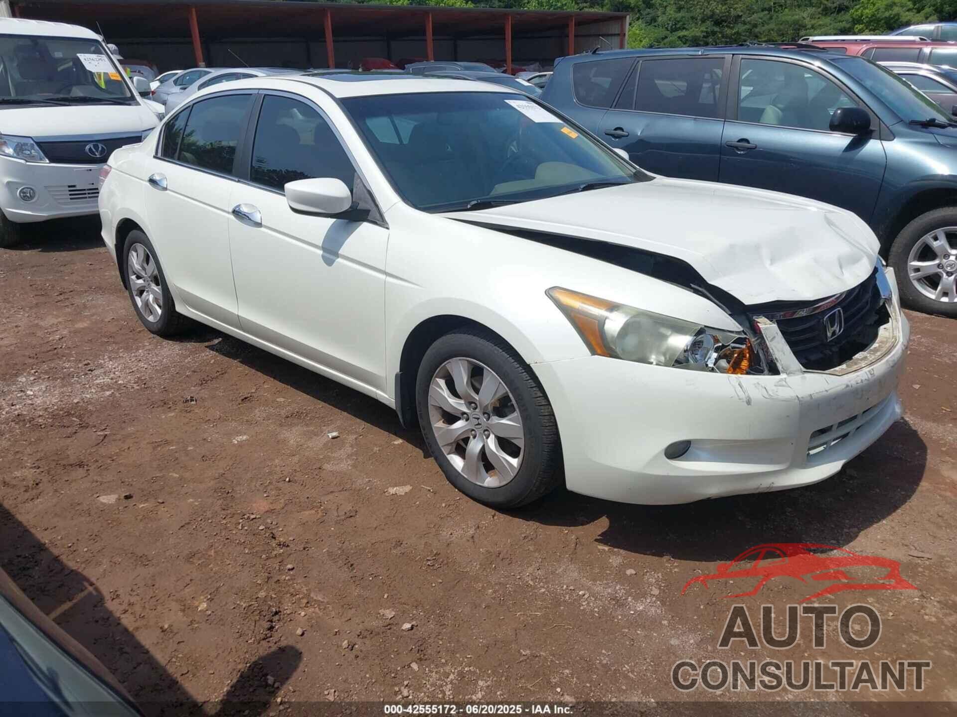 HONDA ACCORD 2009 - 1HGCP36809A011161