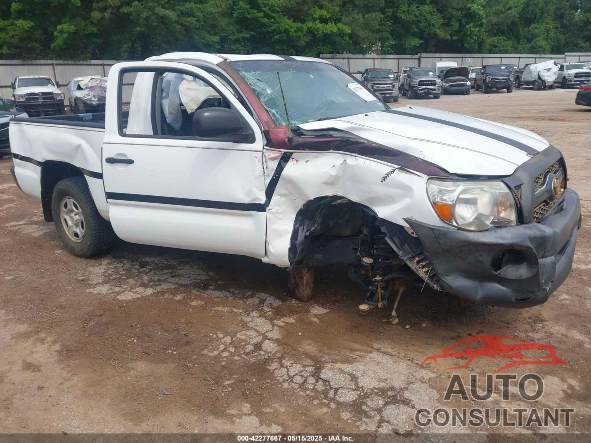 TOYOTA TACOMA 2011 - 5TFNX4CN4BX001937