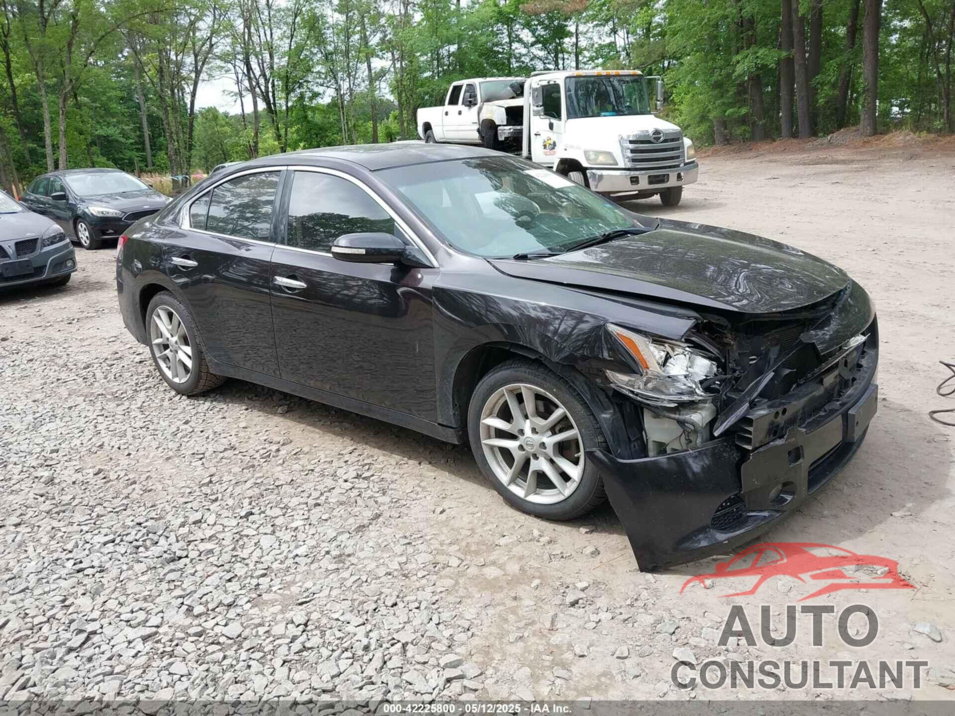 NISSAN MAXIMA 2011 - 1N4AA5AP1BC845442