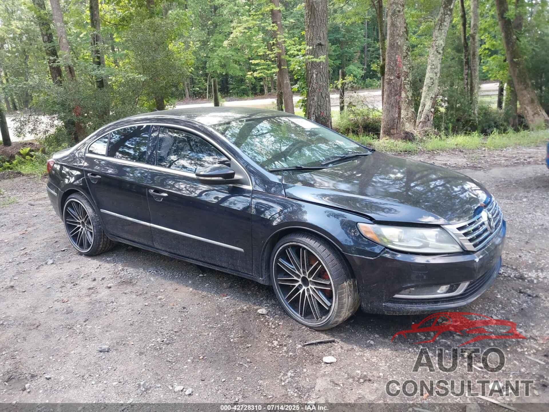 VOLKSWAGEN CC 2013 - WVWBN7AN4DE546497