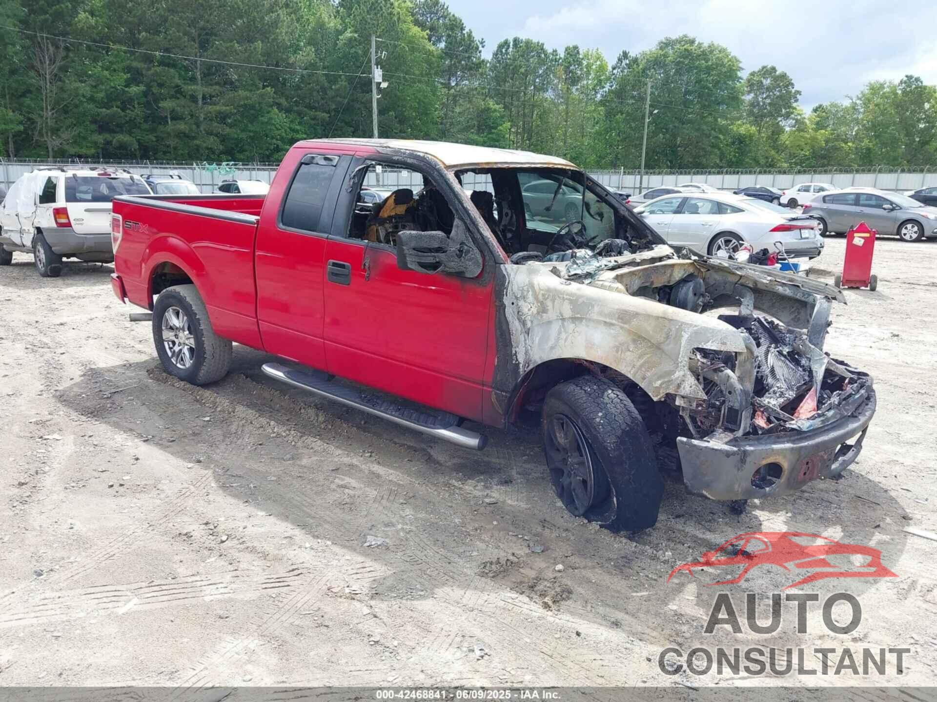 FORD F-150 2009 - 1FTRX12W99FB47521