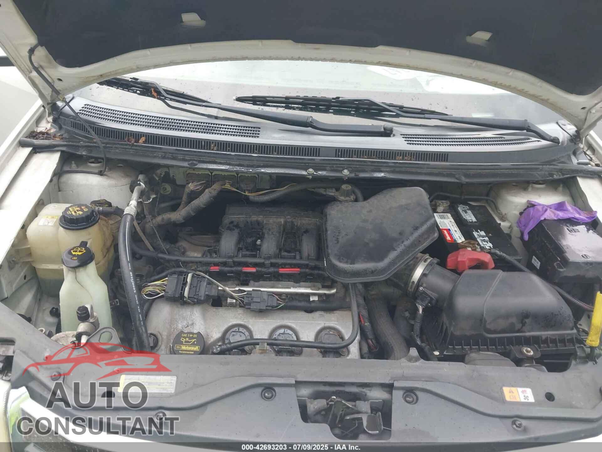 FORD EDGE 2009 - 2FMDK49CX9BB04308