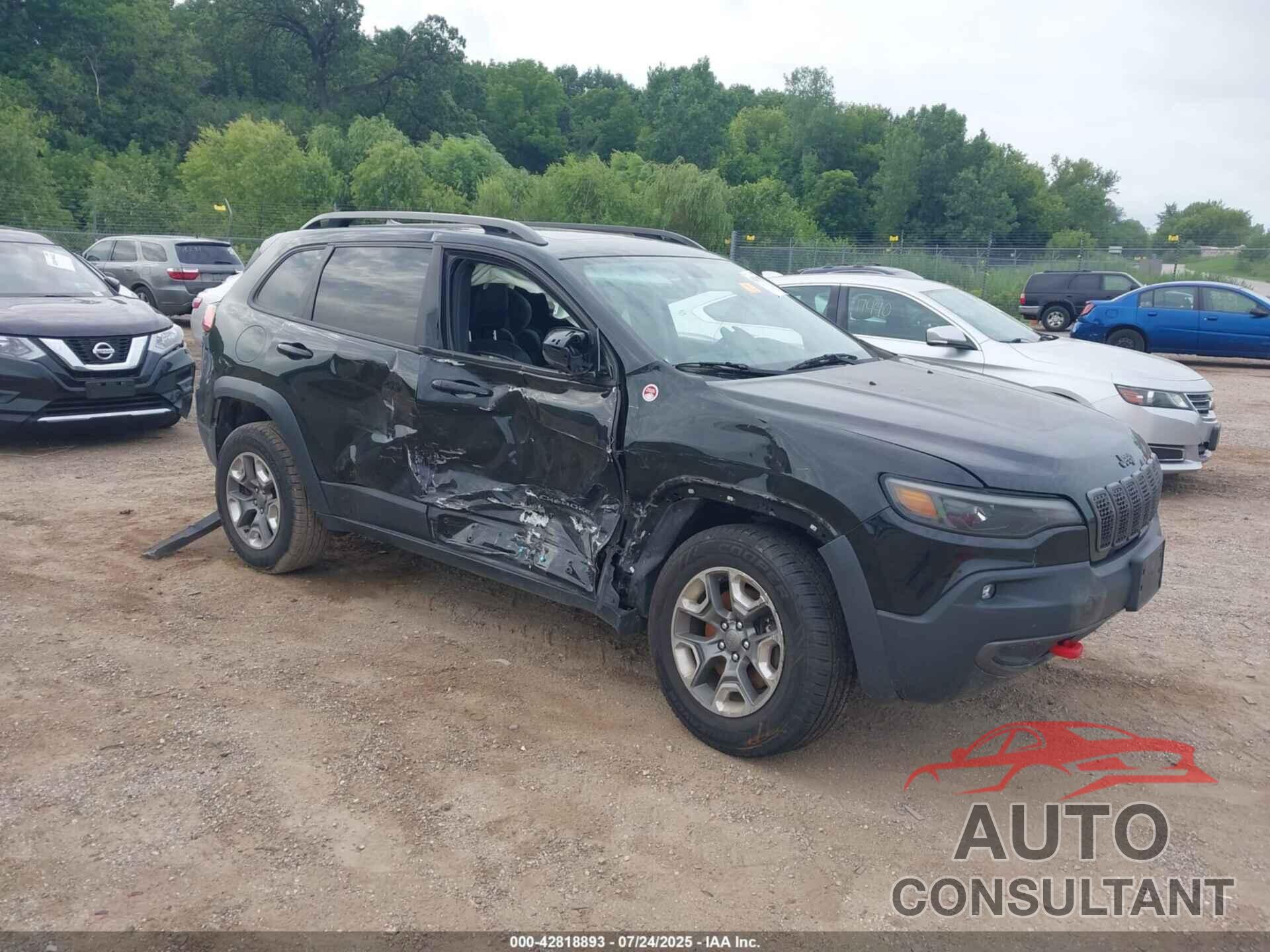 JEEP CHEROKEE 2019 - 1C4PJMBN9KD152950