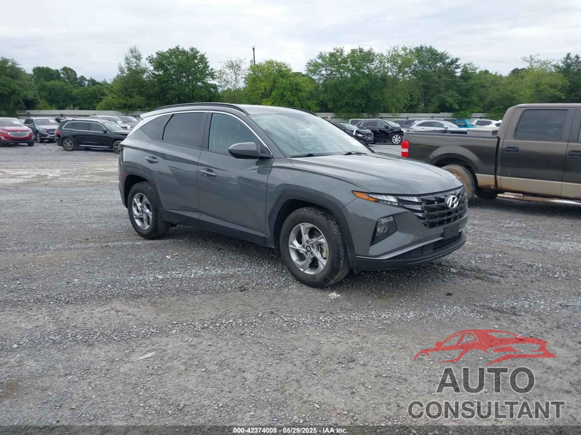 HYUNDAI TUCSON 2024 - 5NMJB3DE5RH329392