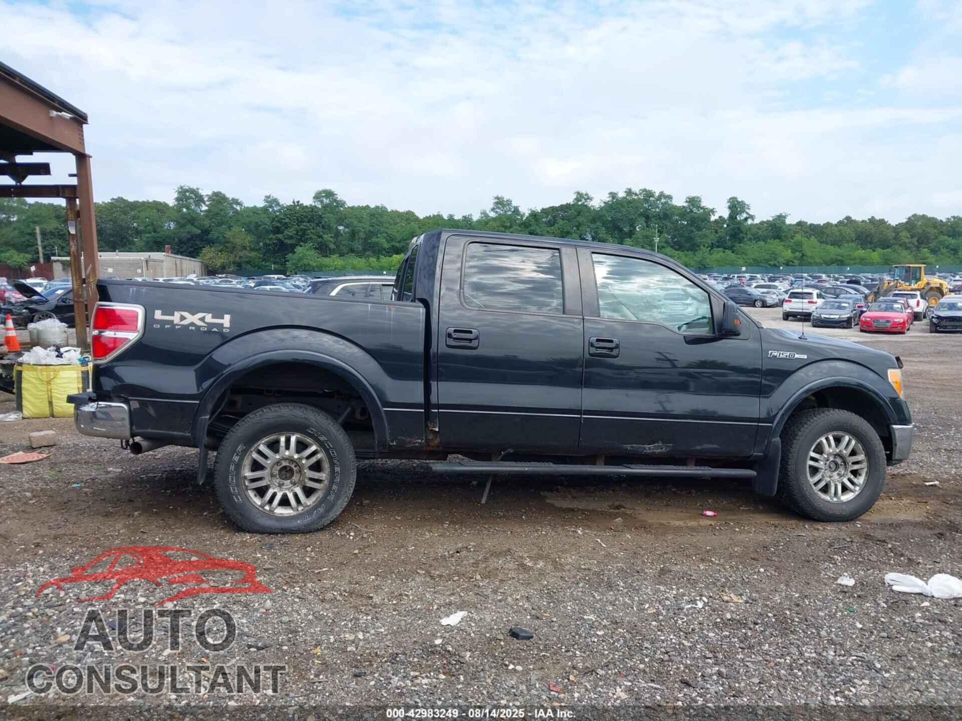 FORD F-150 2011 - 1FTFW1EF2BFA46652