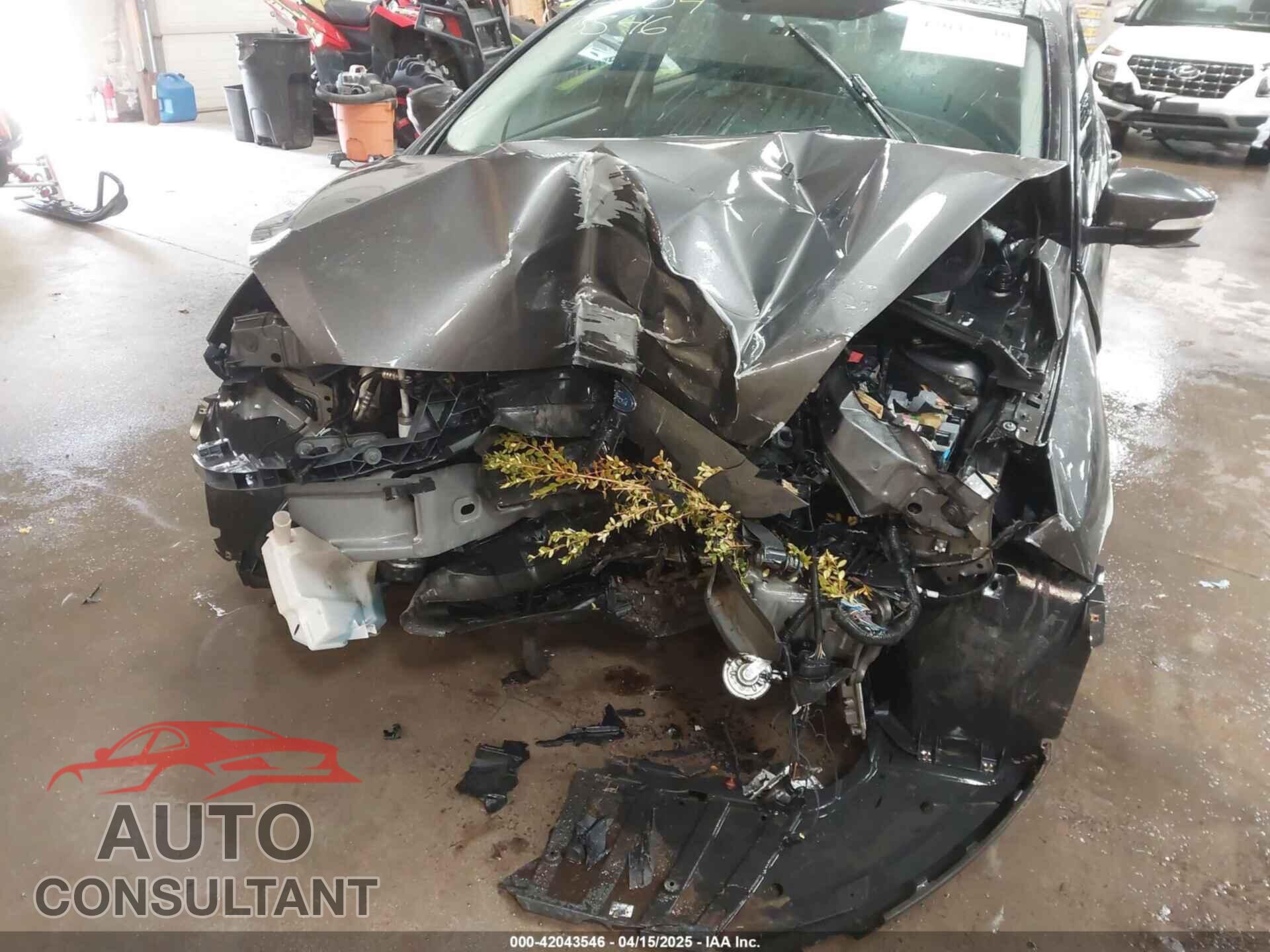 FORD FOCUS 2016 - 1FADP3F21GL247906