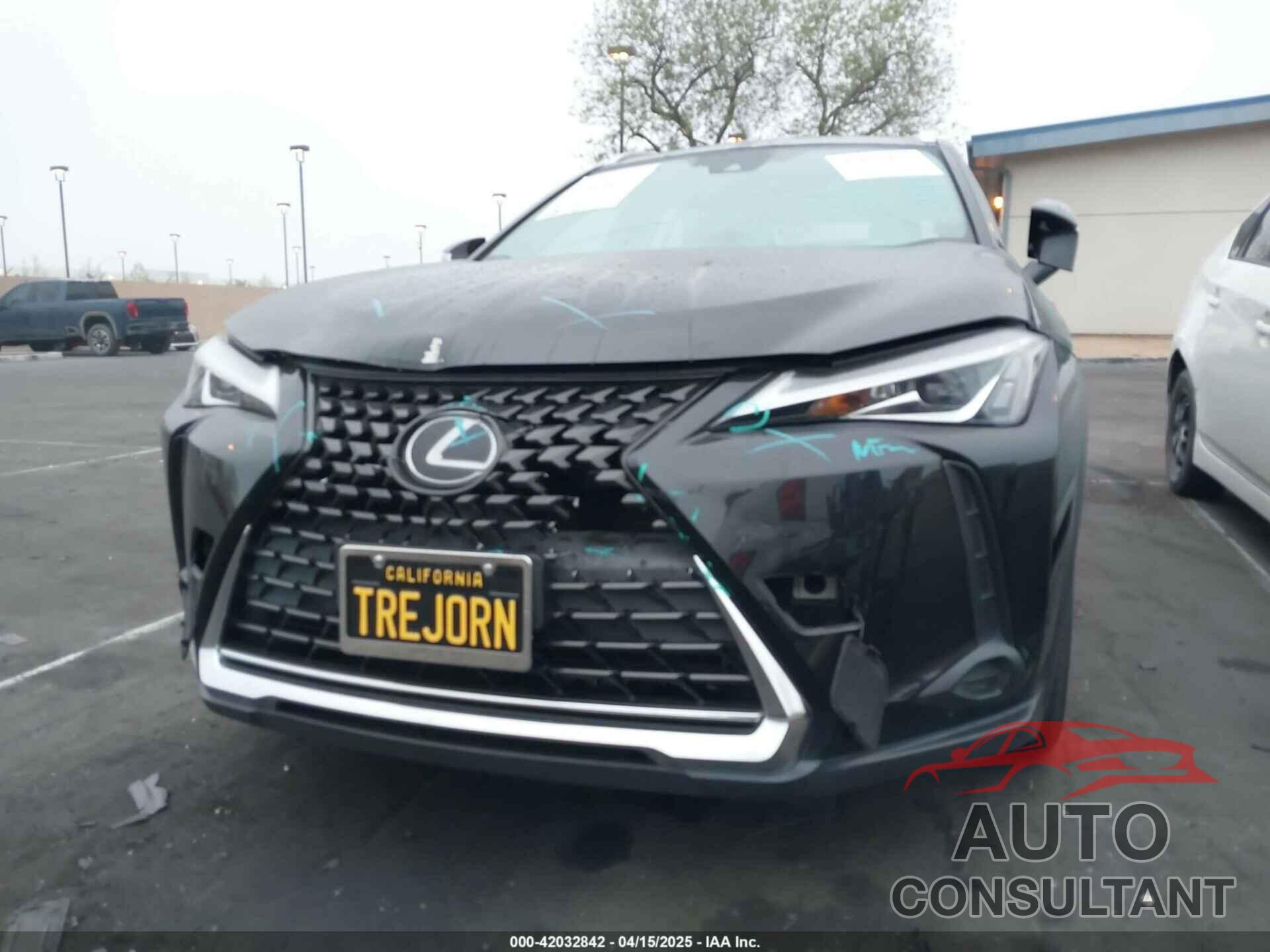 LEXUS UX 200 2019 - JTHY3JBH0K2013968