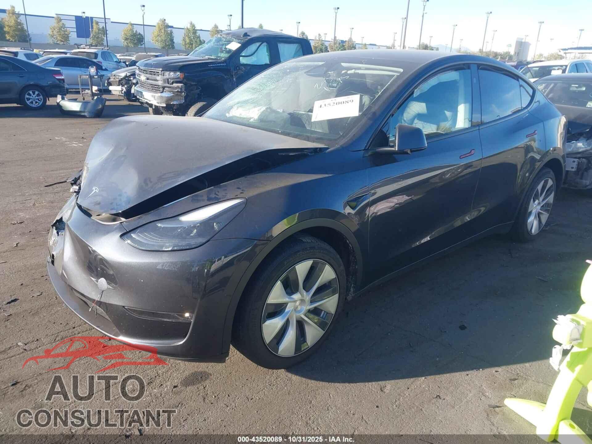TESLA MODEL Y 2024 - 7SAYGAEE2RF060419