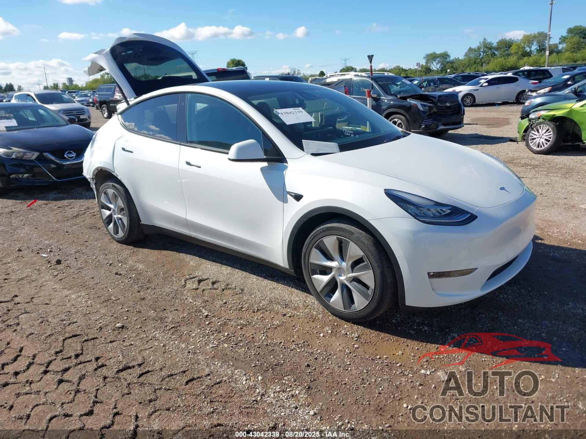 TESLA MODEL Y 2022 - 7SAYGDEE4NF434122