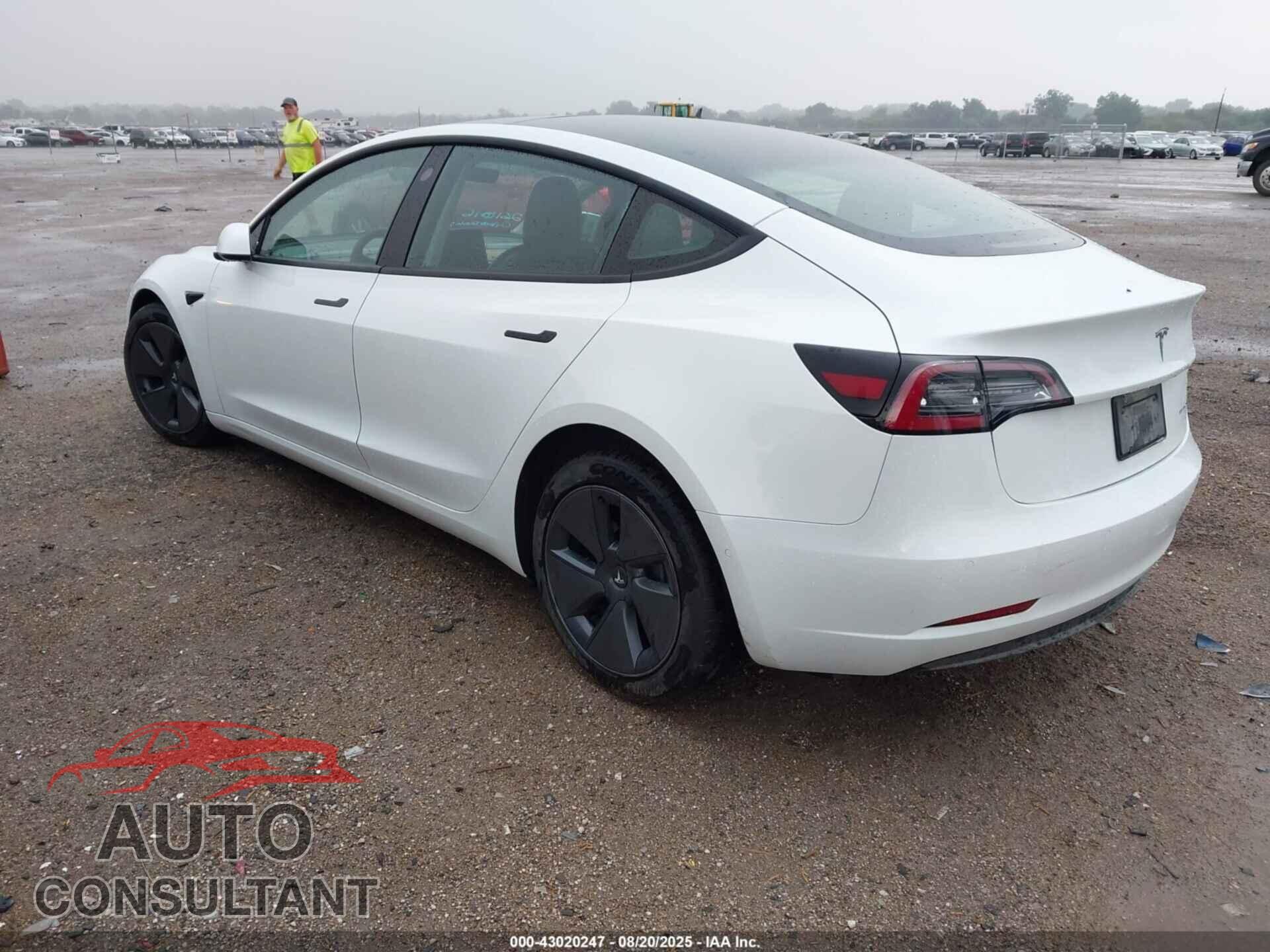 TESLA MODEL 3 2022 - 5YJ3E1EB3NF261016