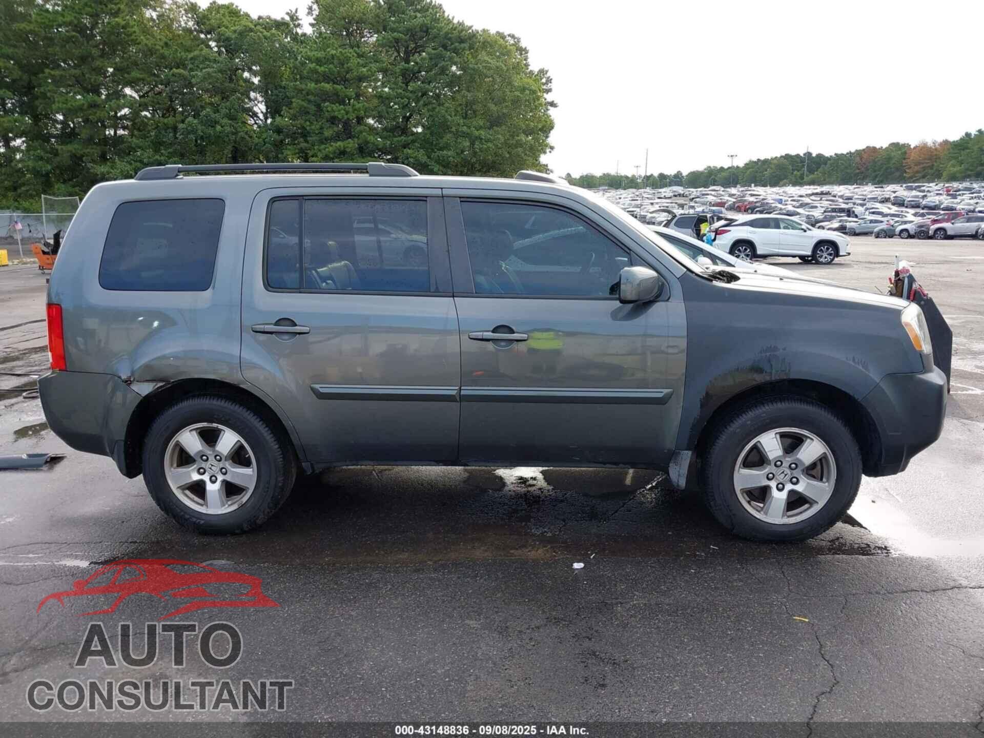 HONDA PILOT 2009 - 5FNYF48589B032203