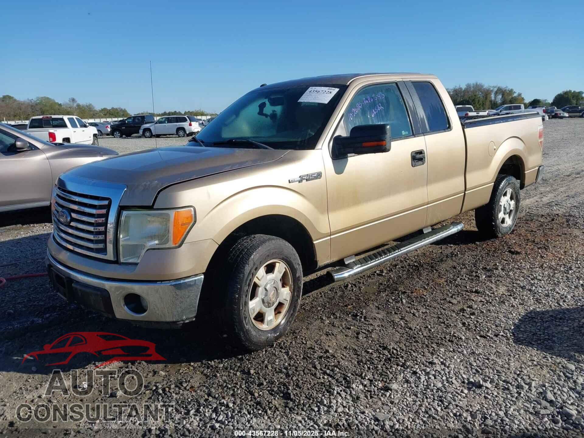 FORD F-150 2012 - 1FTFX1CF8CFC68582