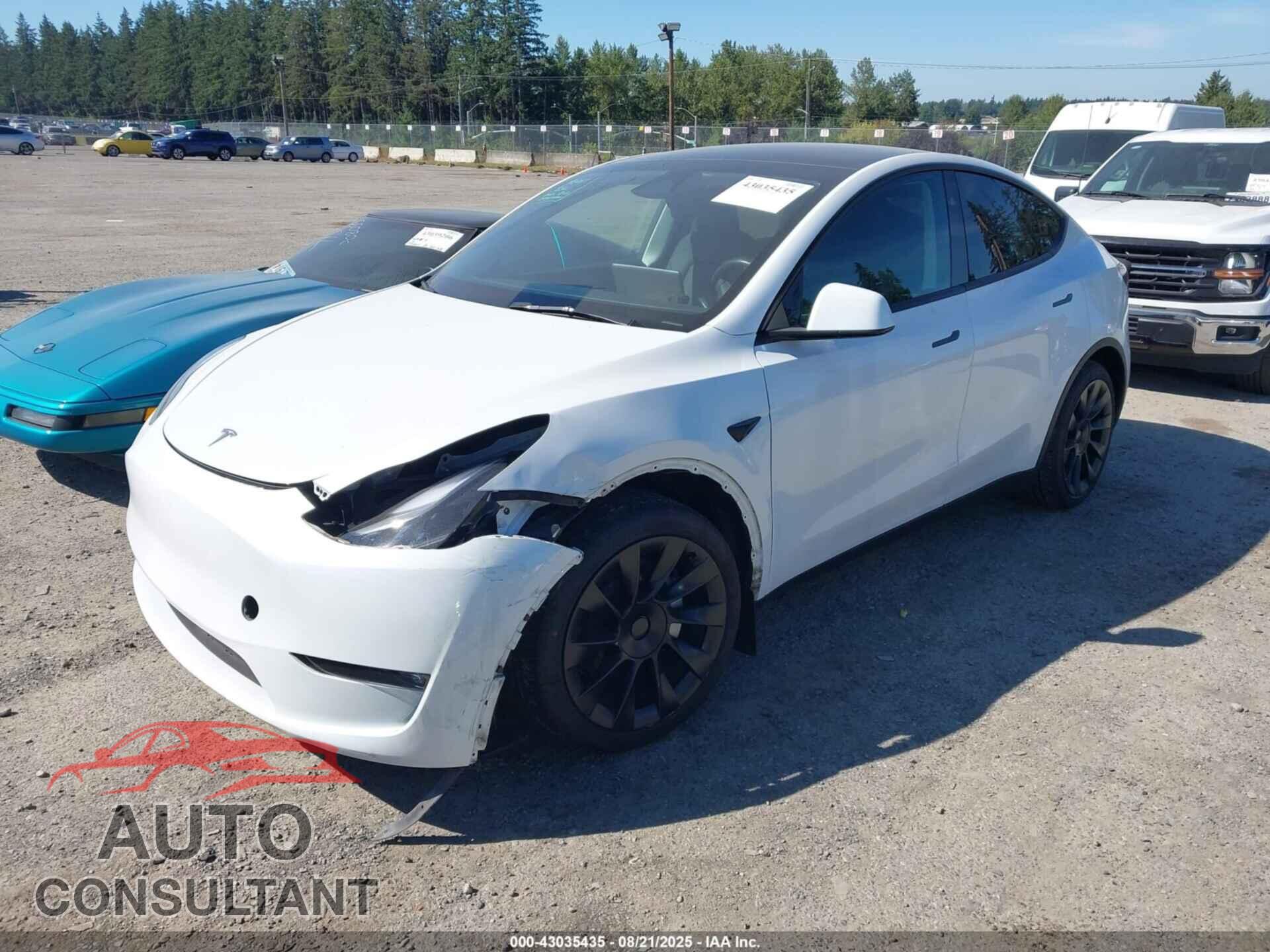 TESLA MODEL Y 2023 - 7SAYGDED7PF969892