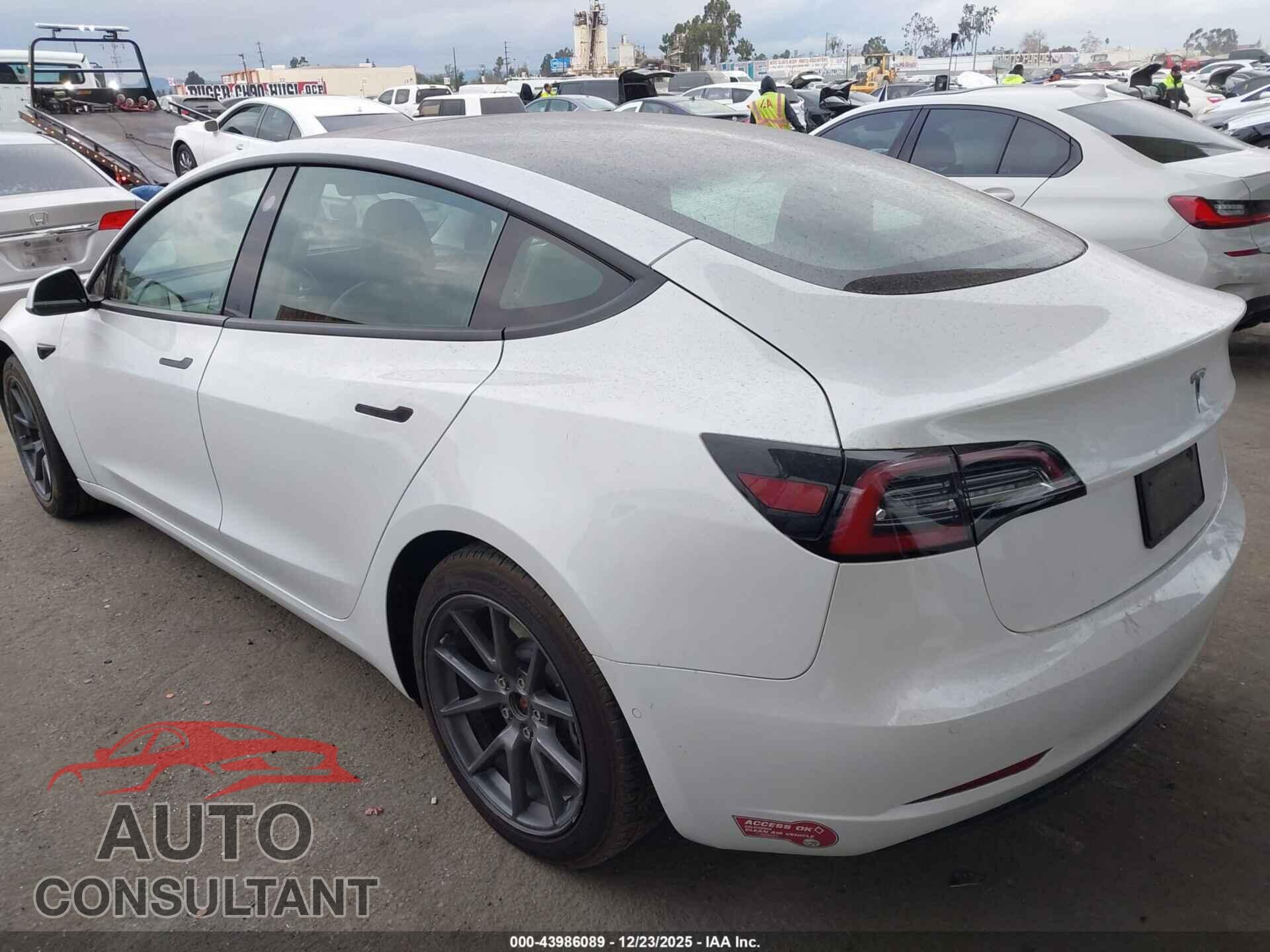 TESLA MODEL 3 2021 - 5YJ3E1EA2MF940491