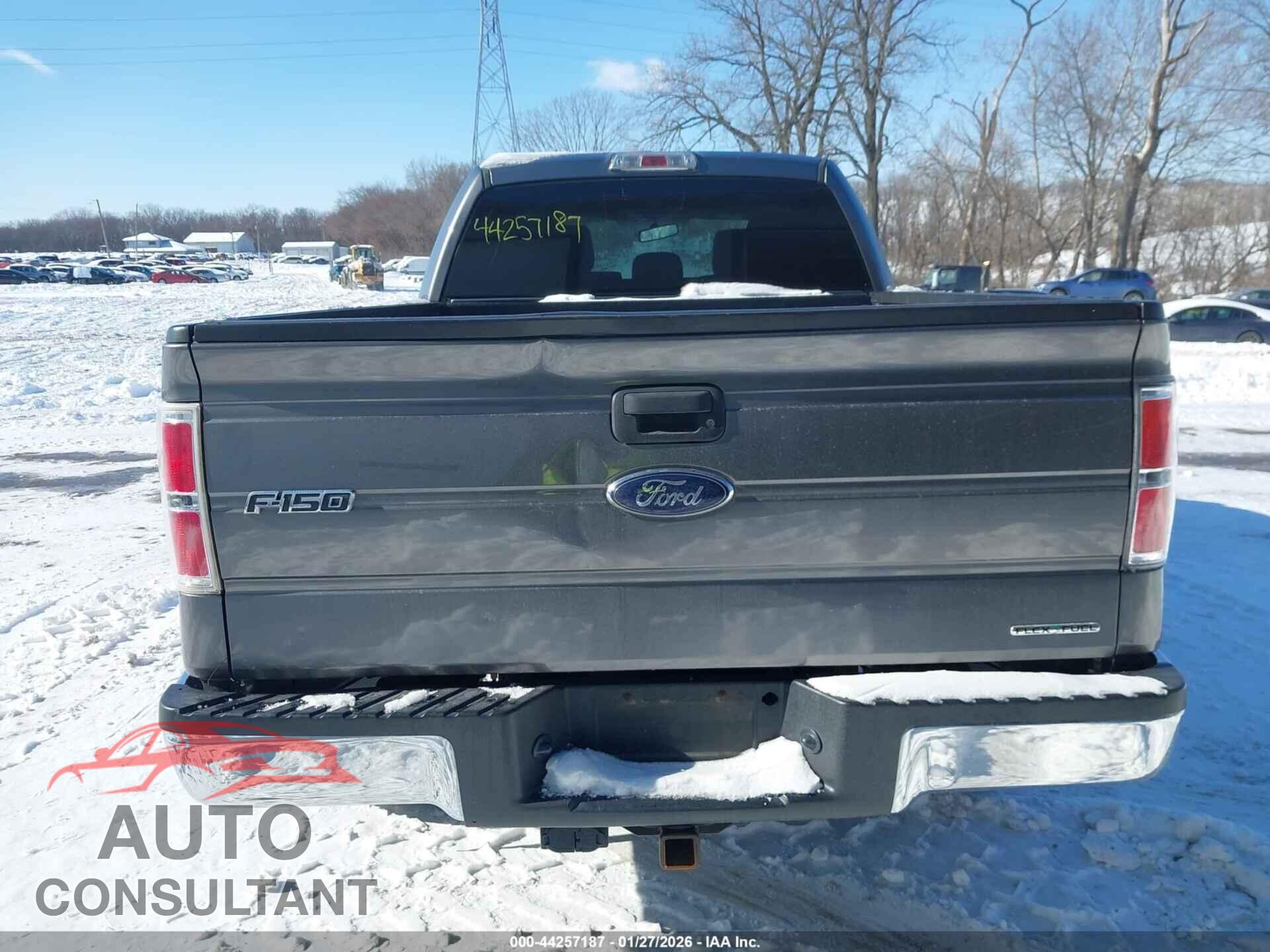 FORD F-150 2013 - 1FTFW1EF3DFD58207