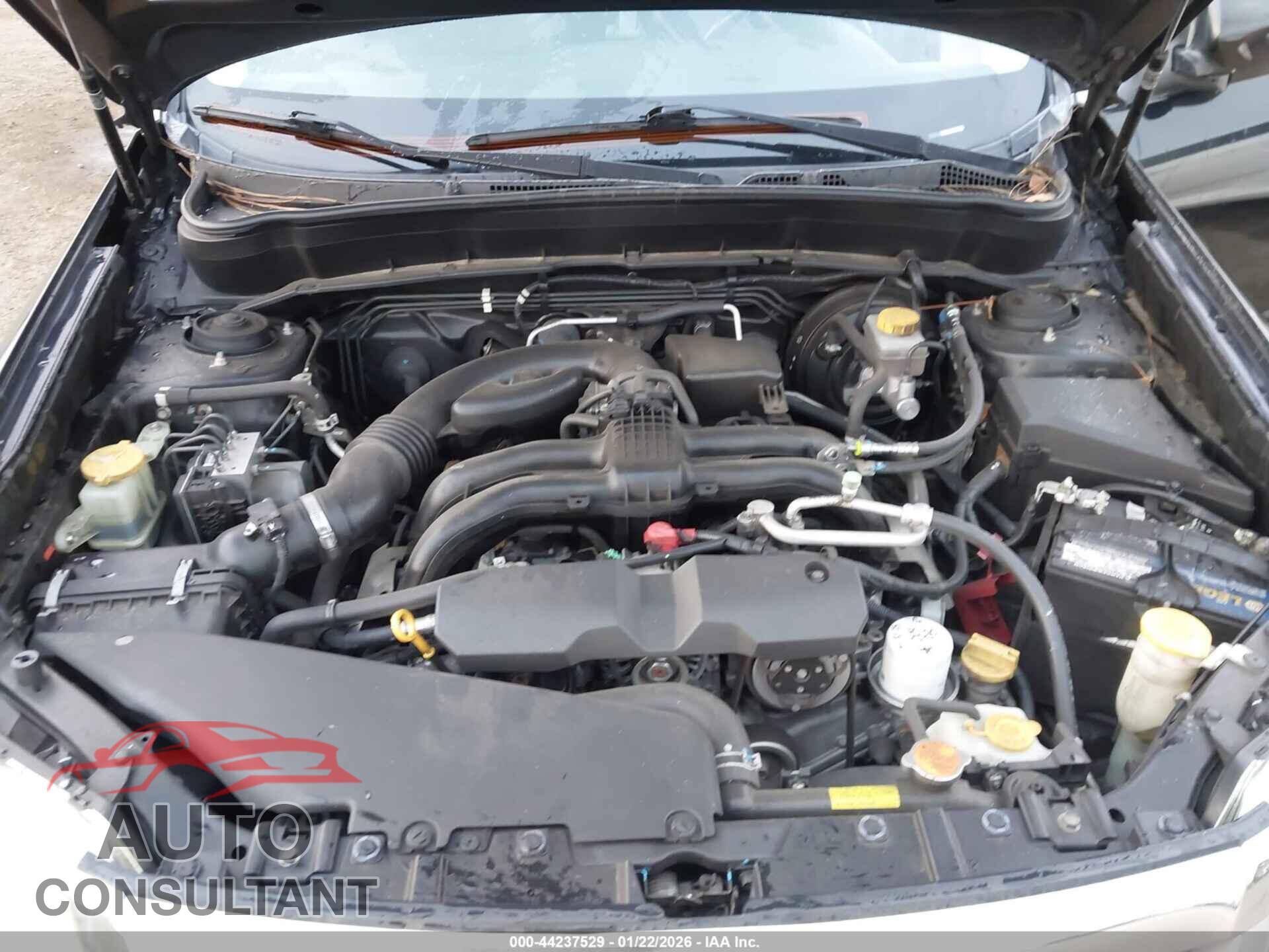 SUBARU FORESTER 2012 - JF2SHAEC8CH402902
