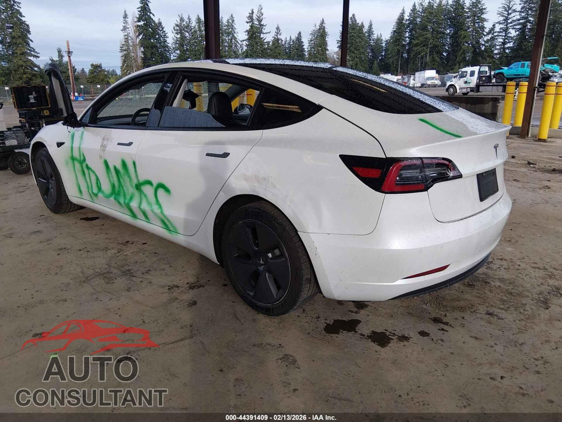 TESLA MODEL 3 2021 - 5YJ3E1EA3MF976867