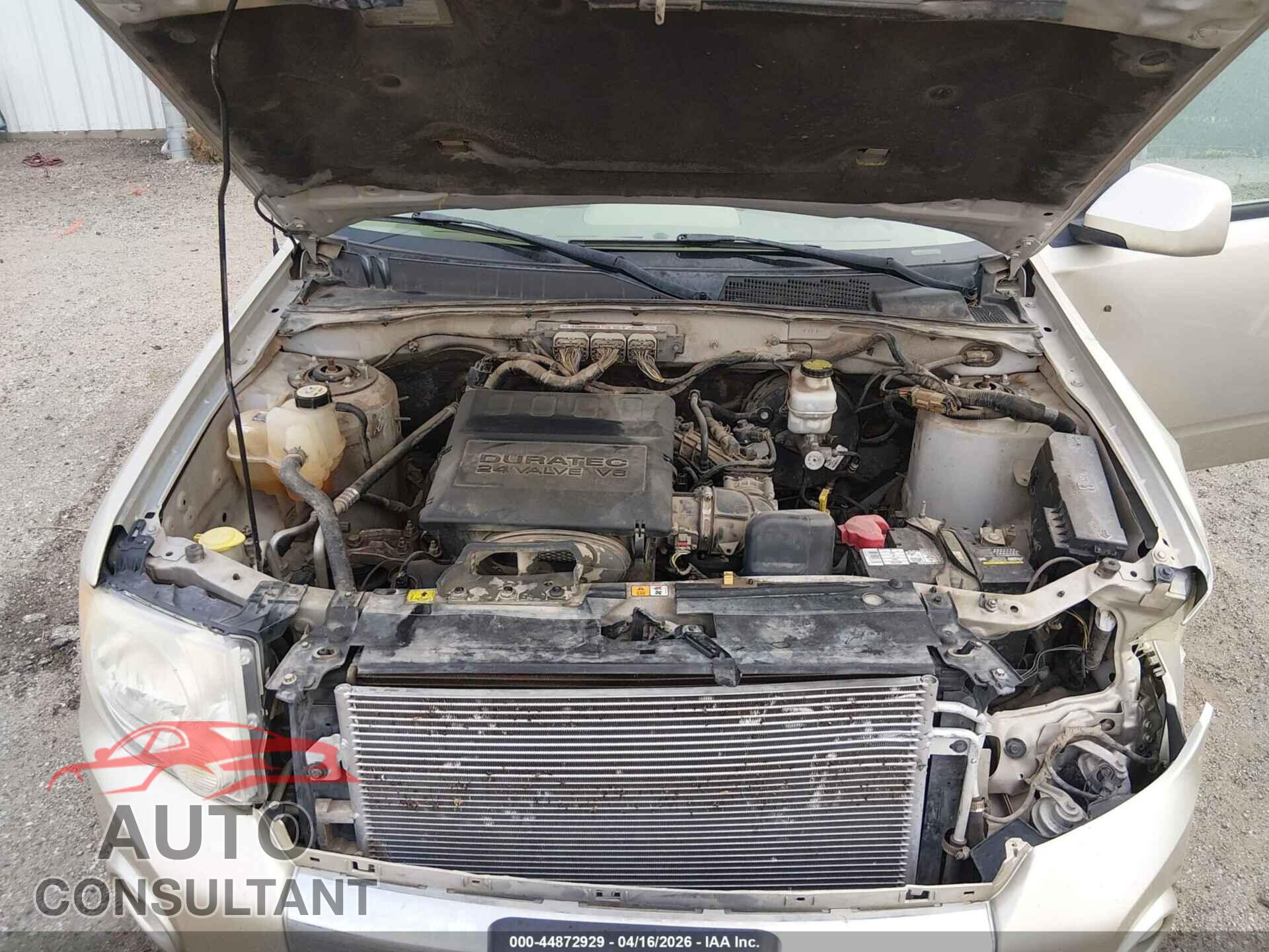 FORD ESCAPE 2011 - 1FMCU0EG5BKC51266