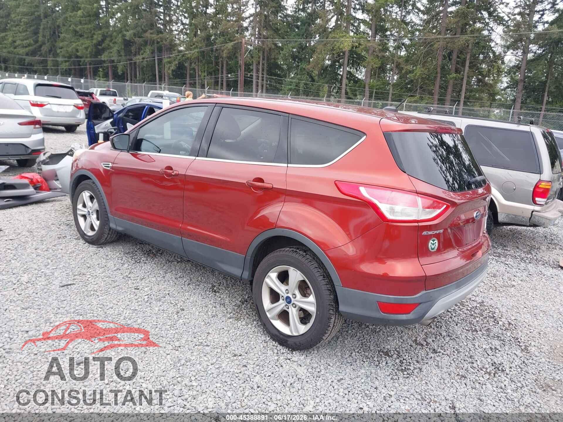 FORD ESCAPE 2014 - 1FMCU0GX7EUC16086