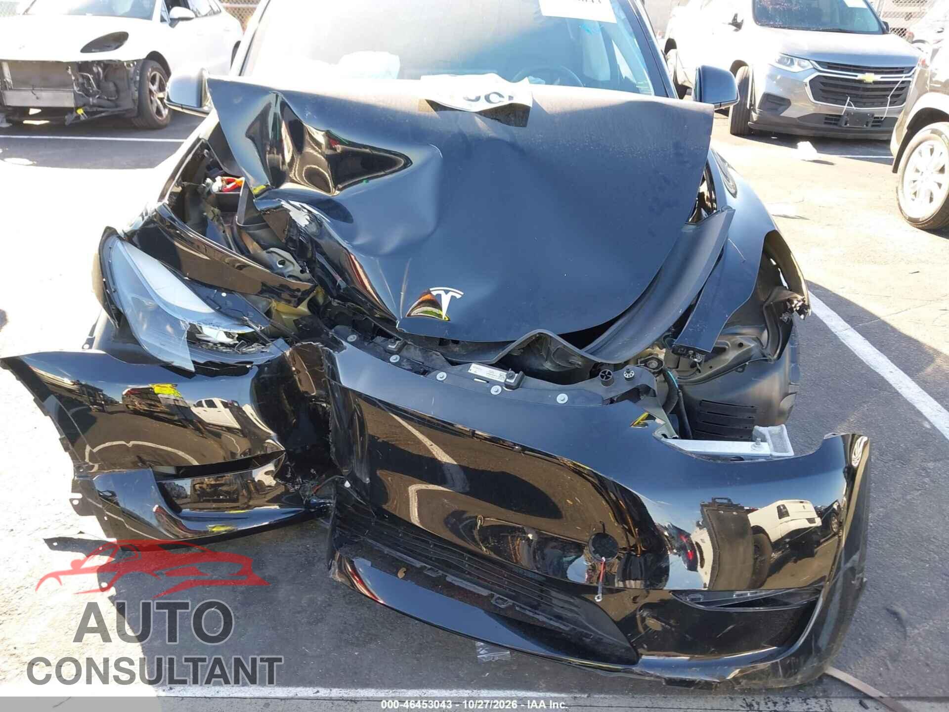 TESLA MODEL Y 2024 - 7SAYGDEF8RF059155