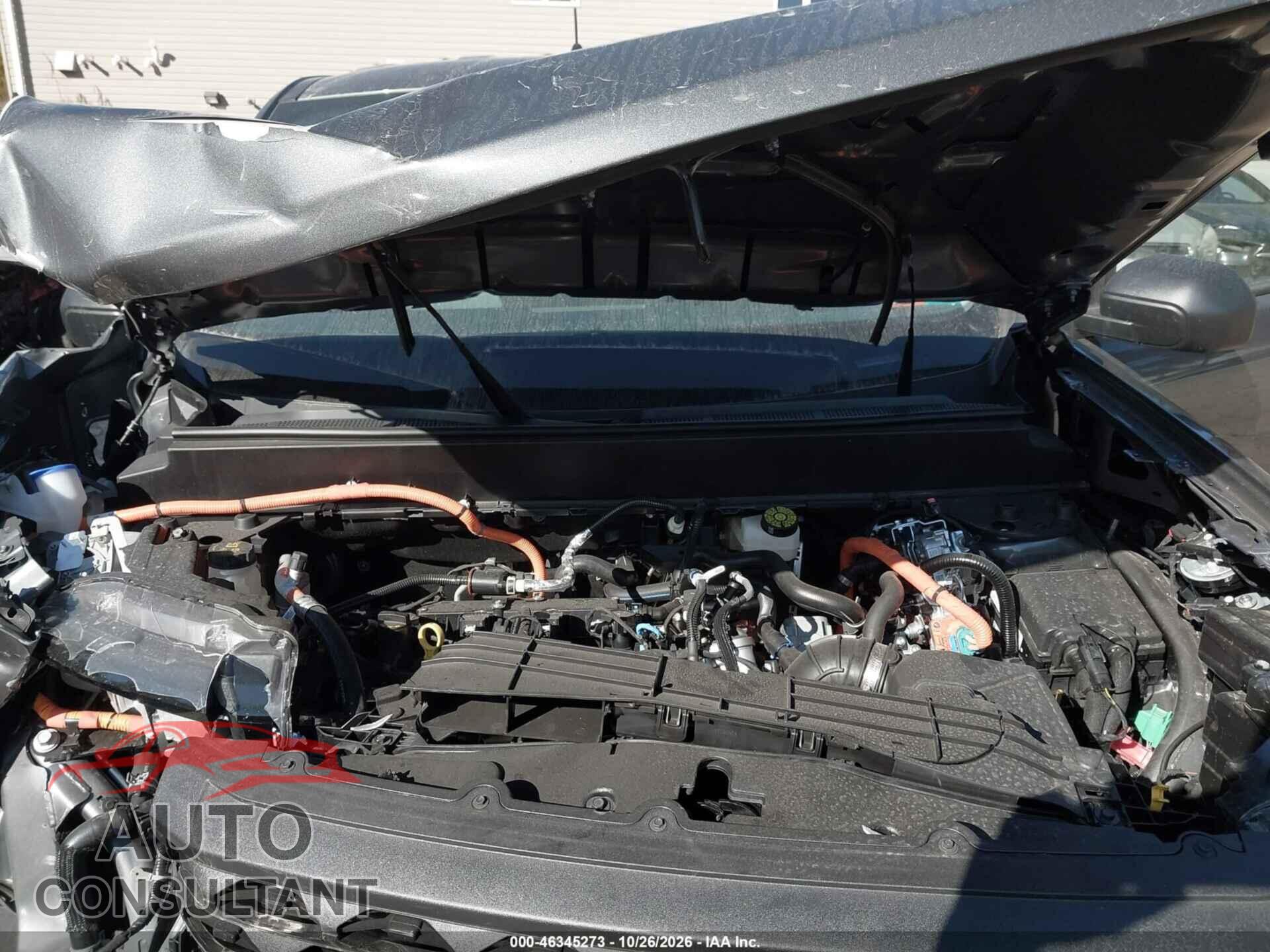 FORD MAVERICK 2026 - 3FTTW8J38TRB15663