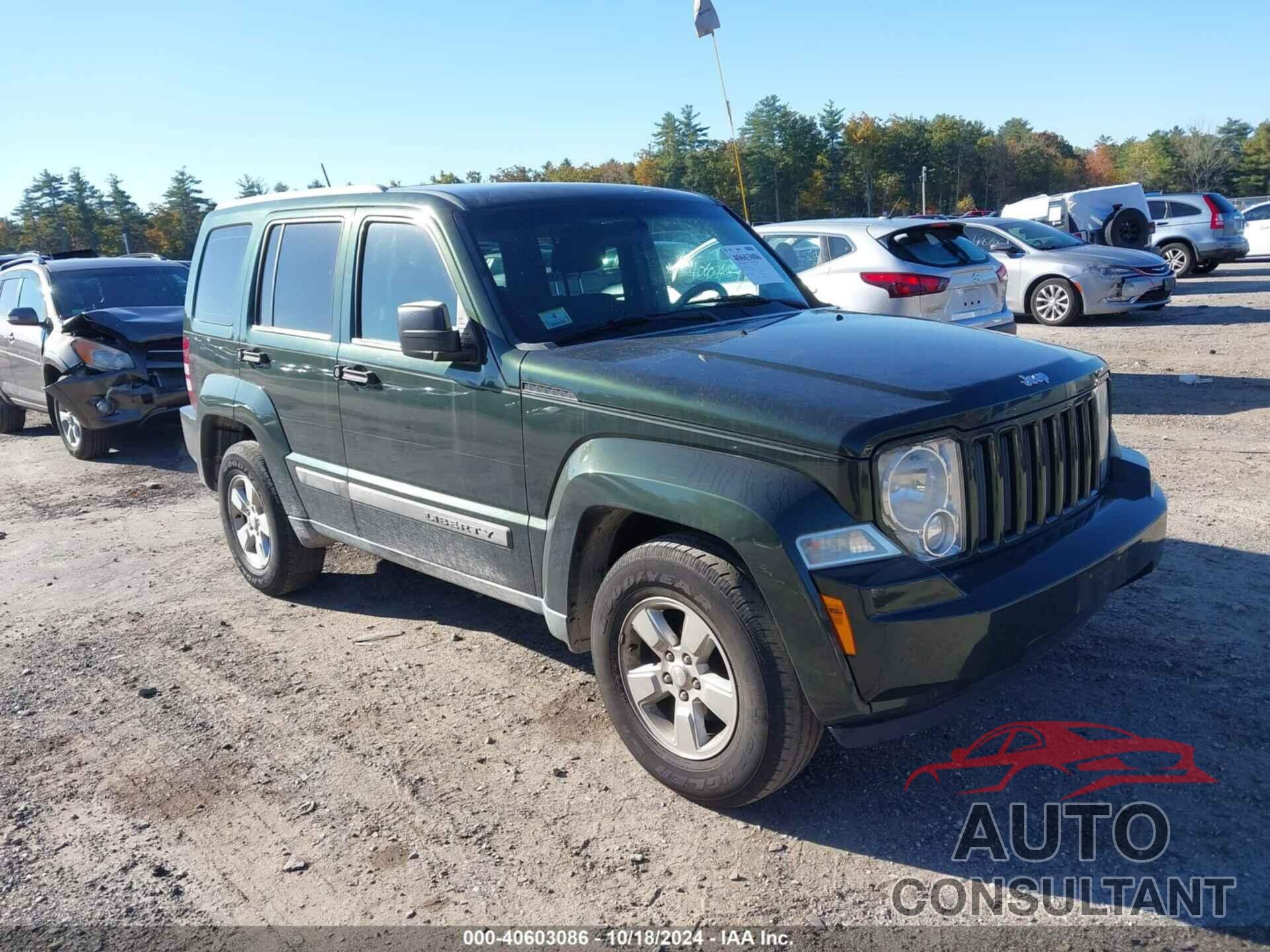 JEEP LIBERTY 2011 - 1J4PN2GK0BW591475