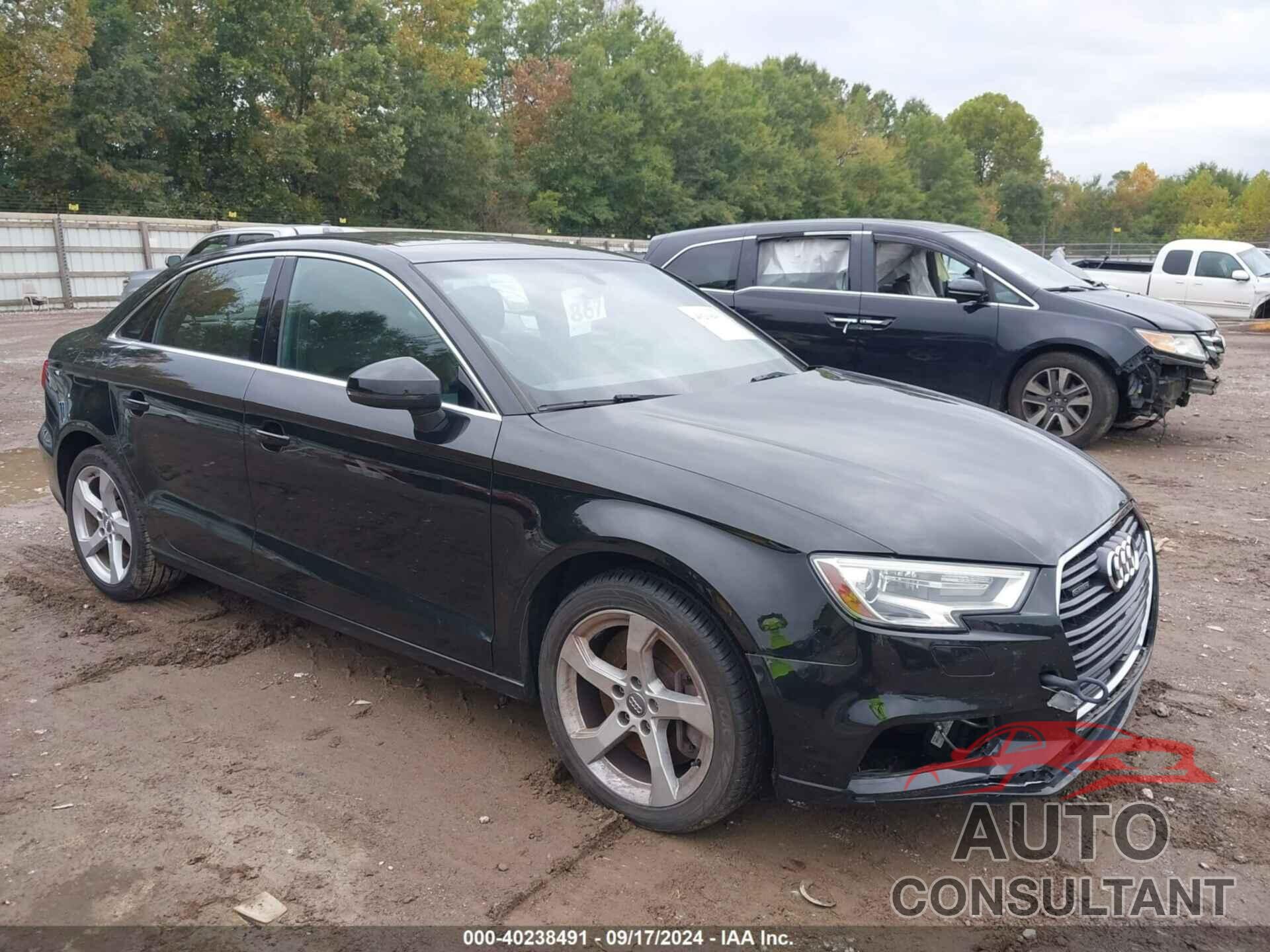 AUDI A3 2019 - WAUBEGFF6KA116473