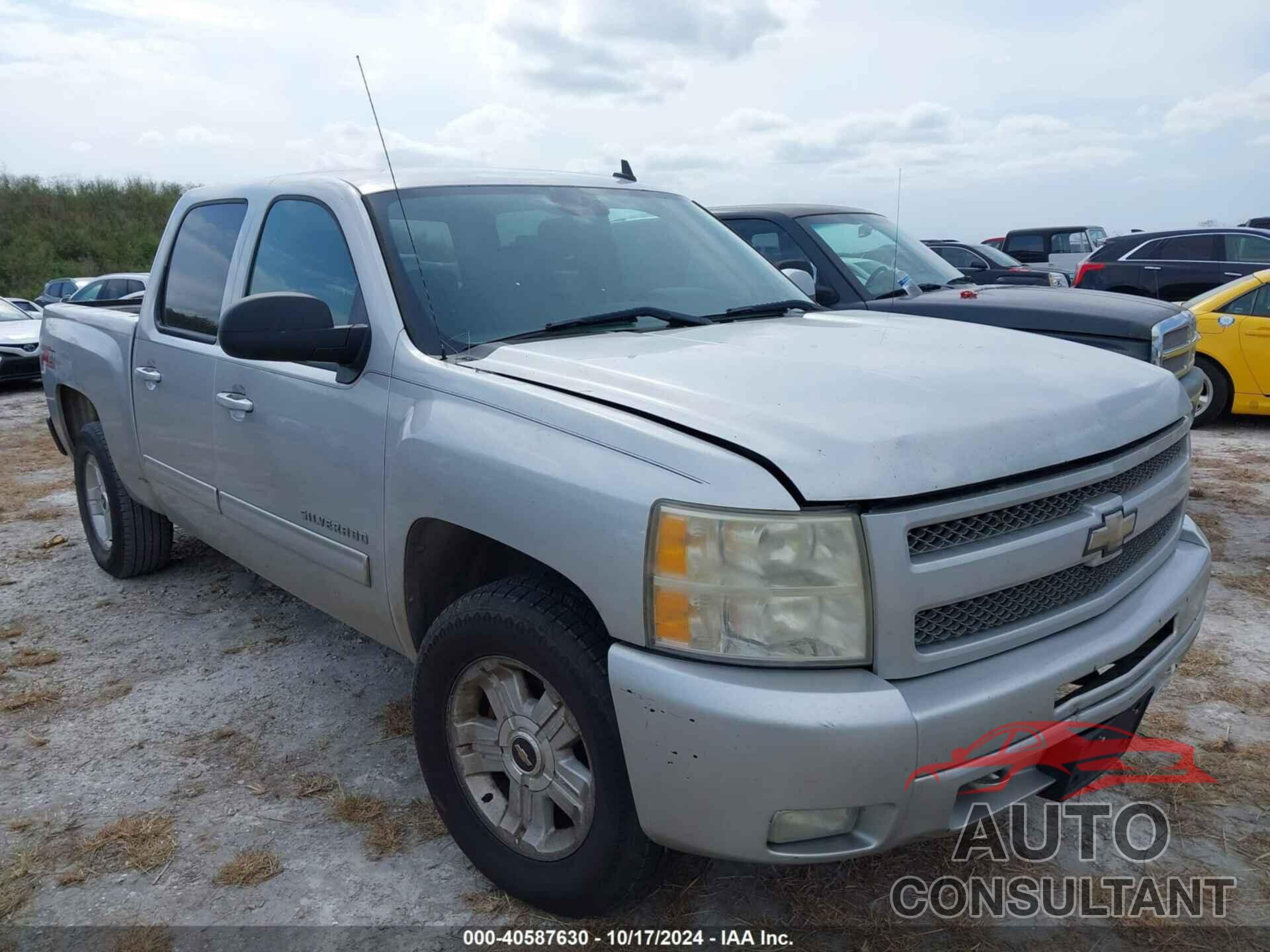 CHEVROLET SILVERADO 1500 2010 - 3GCRCSE01AG197941