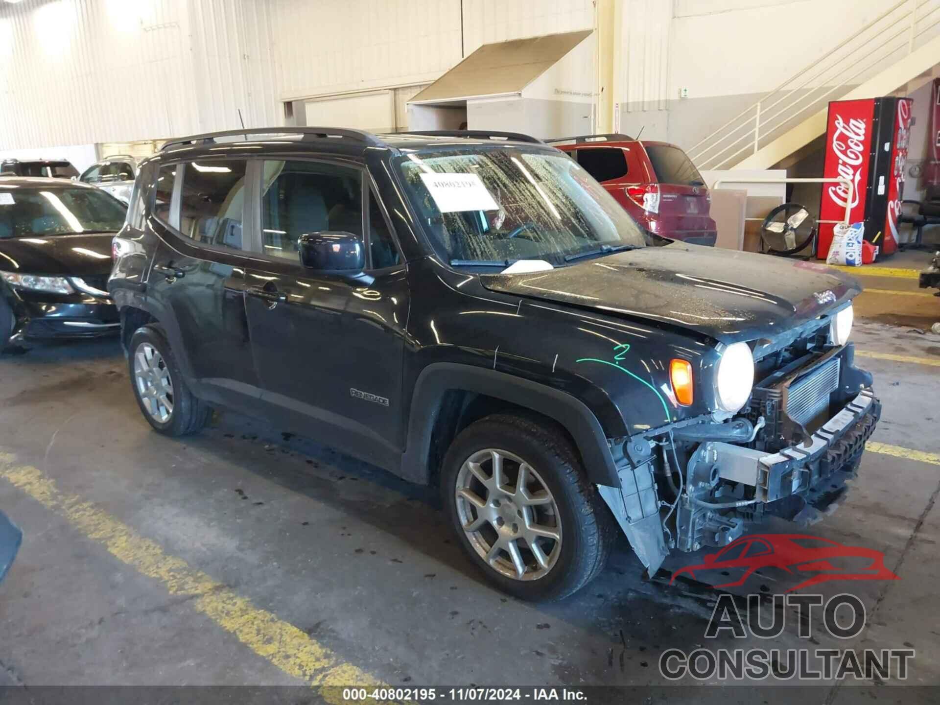 JEEP RENEGADE 2019 - ZACNJABB9KPK76503