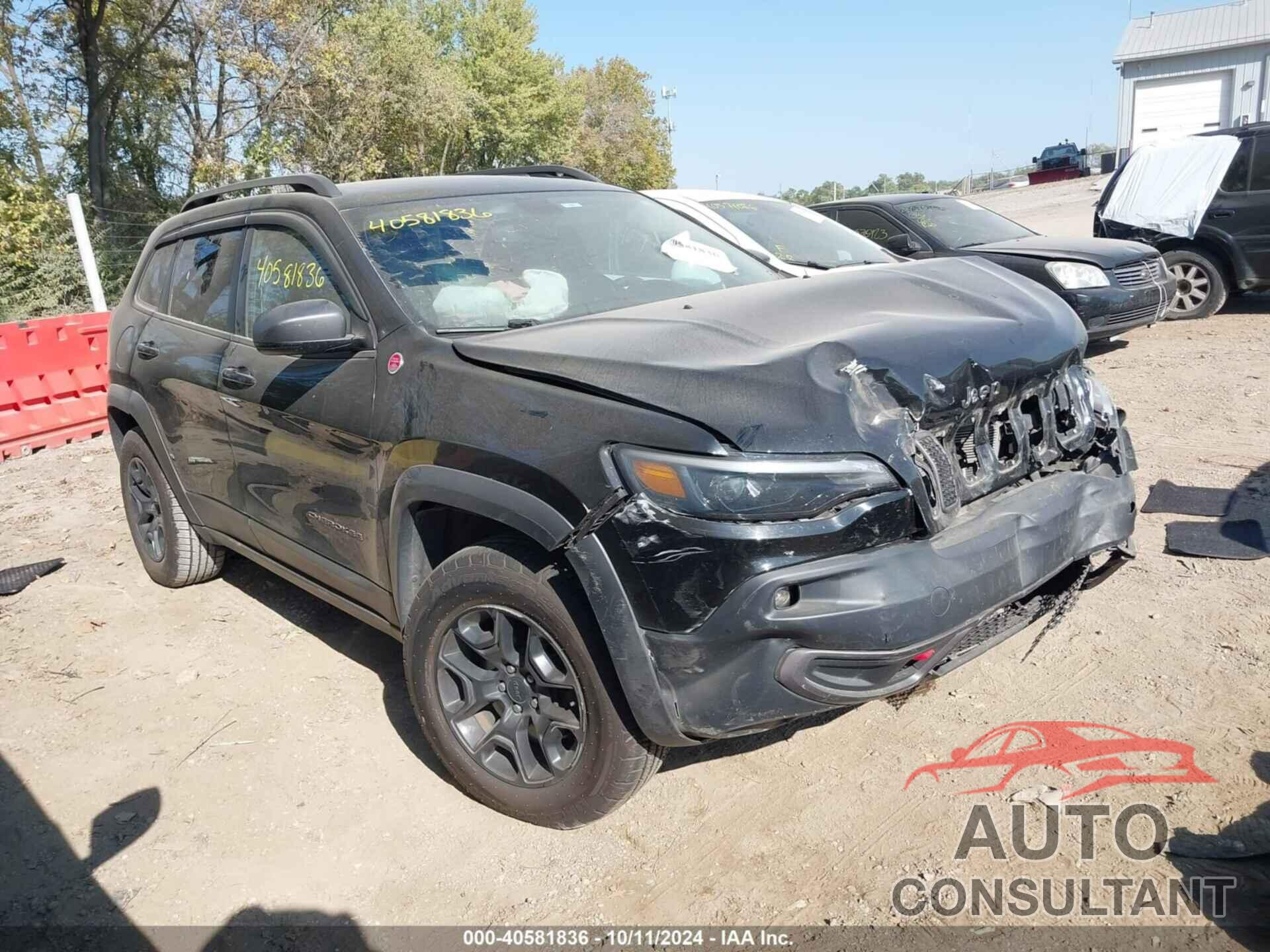 JEEP CHEROKEE 2019 - 1C4PJMBX4KD189616