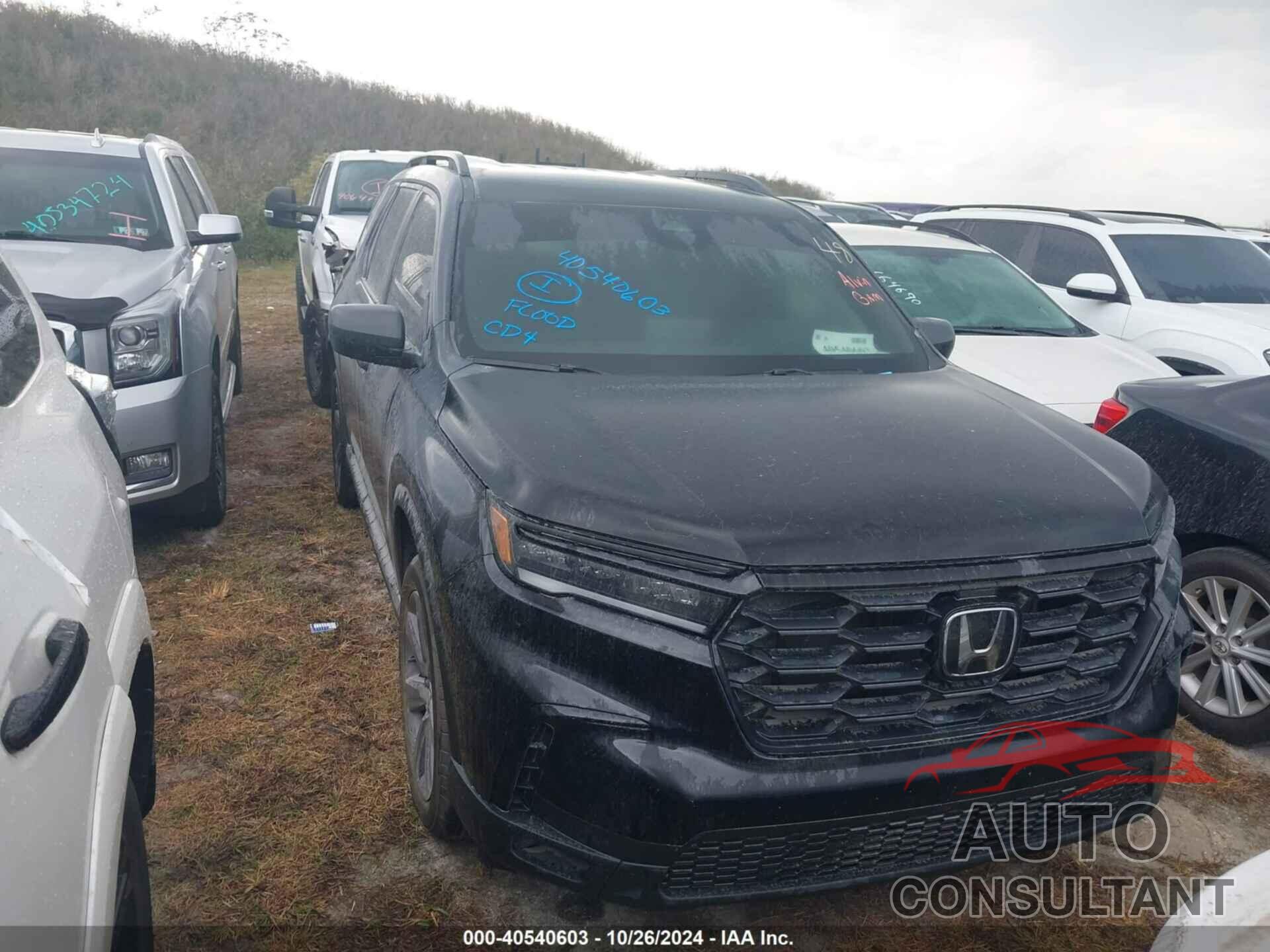 HONDA PILOT 2023 - 5FNYG2H3XPB007316