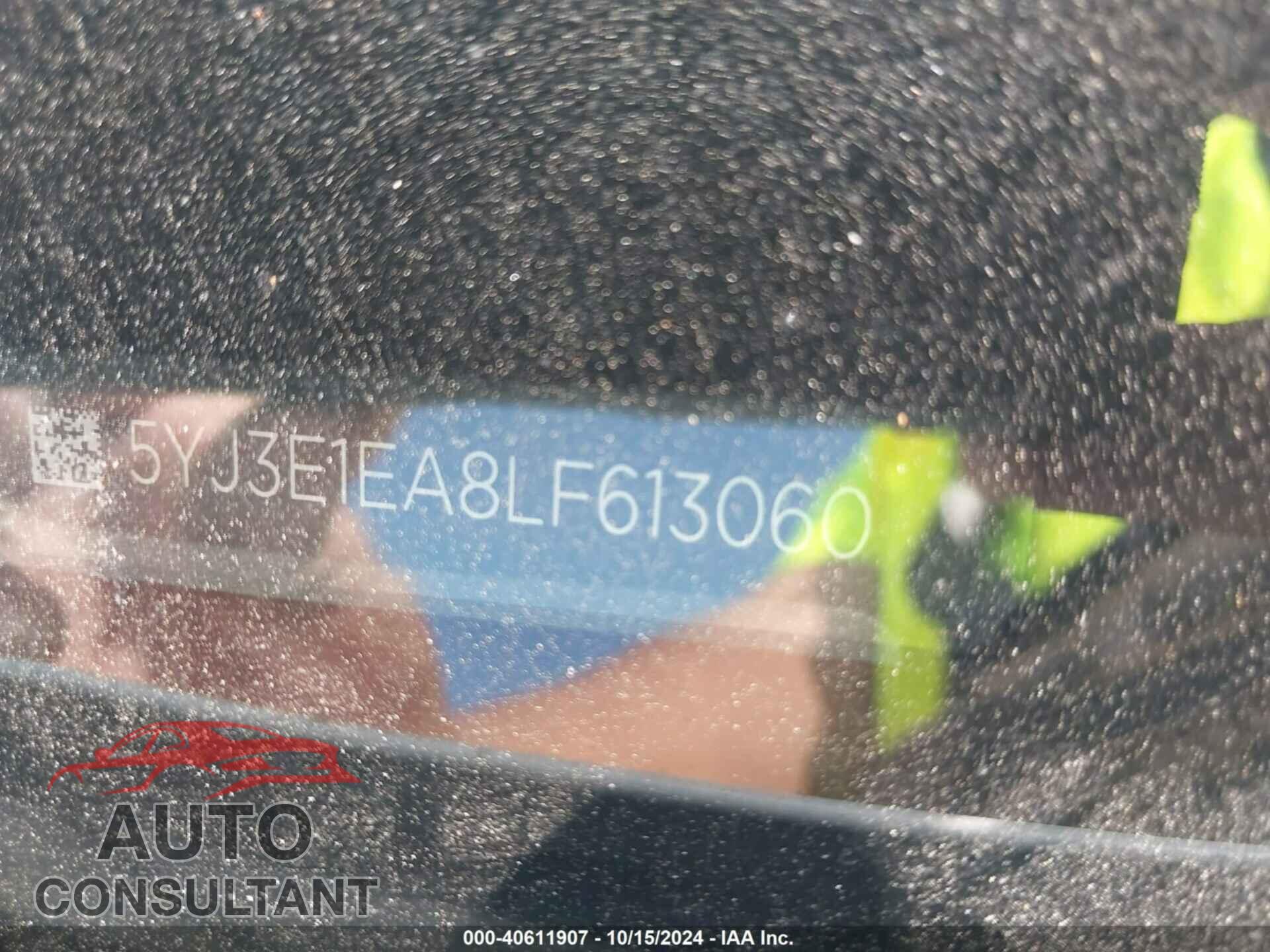 TESLA MODEL 3 2020 - 5YJ3E1EA8LF613060