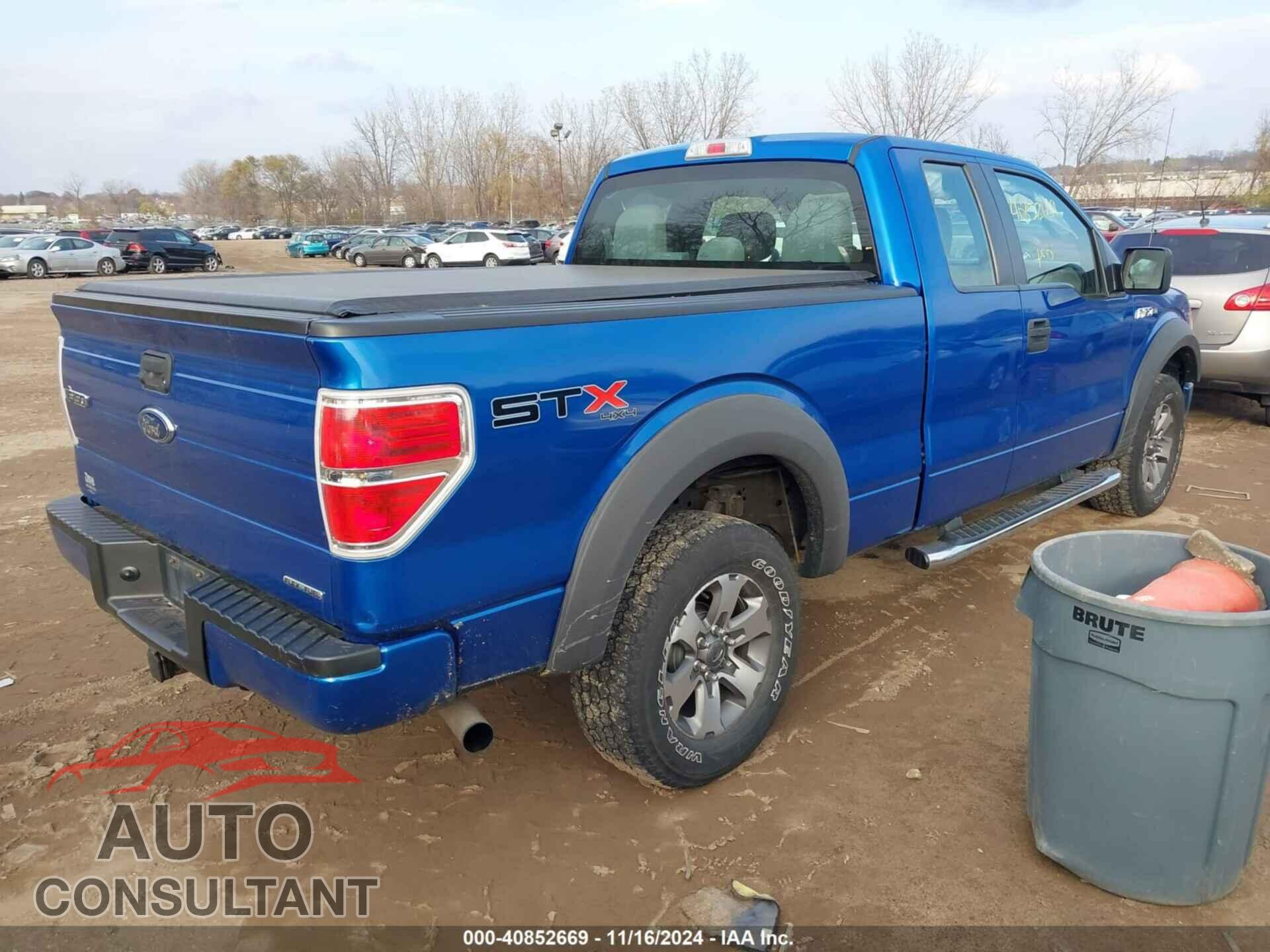 FORD F-150 2013 - 1FTFX1EF5DFB58281