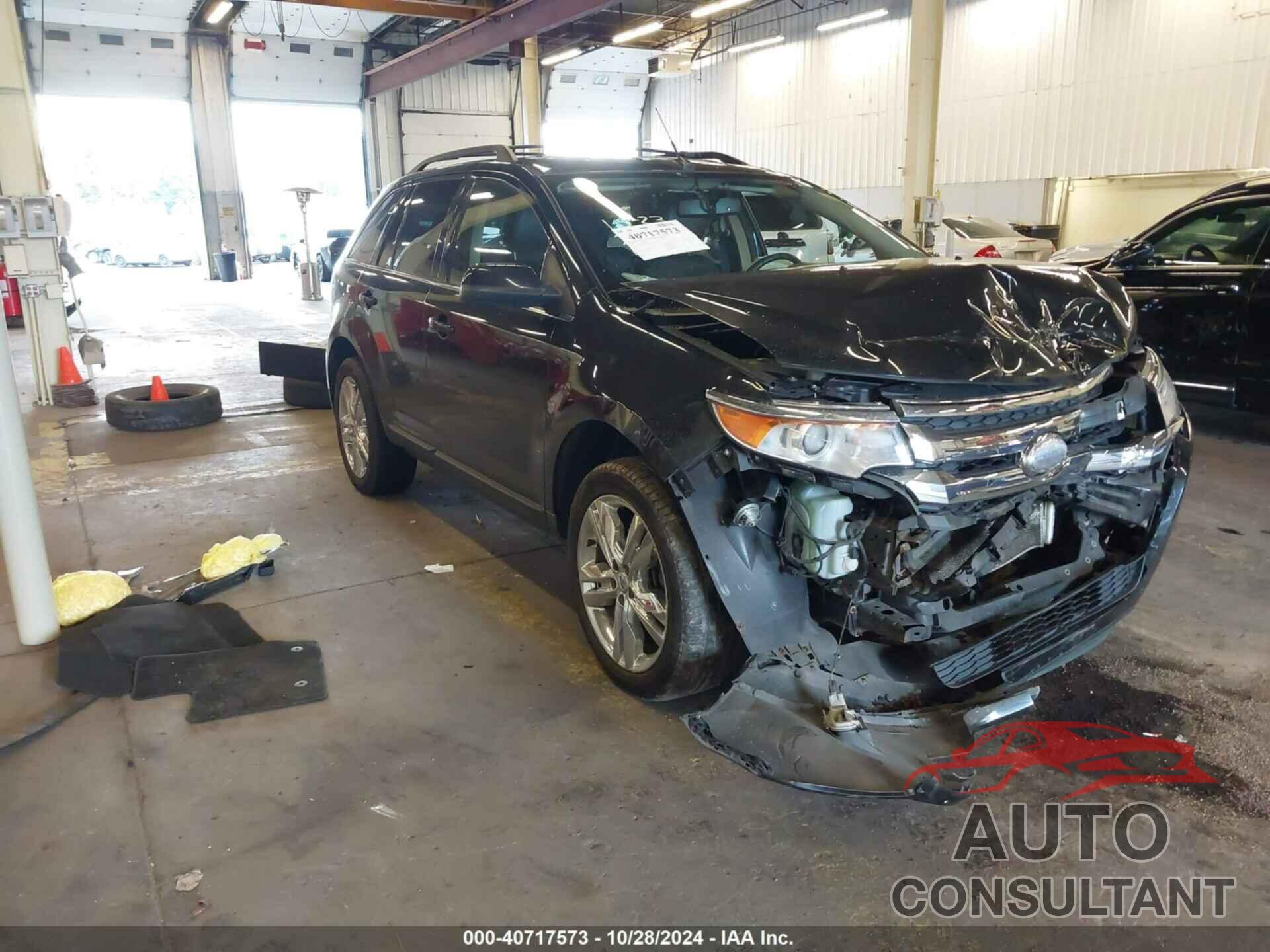 FORD EDGE 2013 - 2FMDK4KC2DBC22890