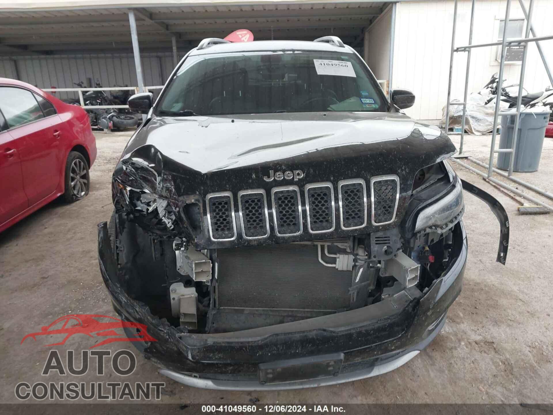 JEEP CHEROKEE 2019 - 1C4PJLDB3KD416127