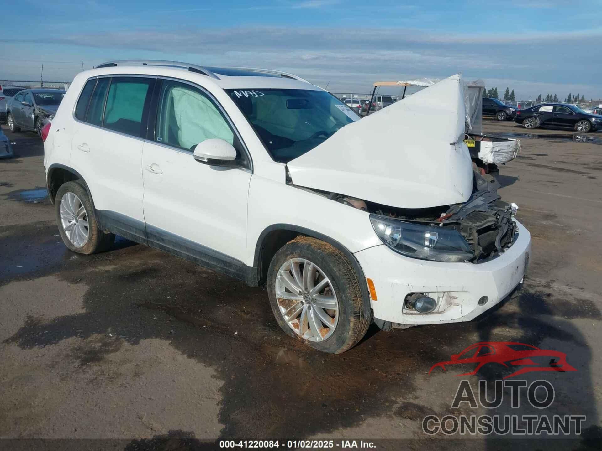 VOLKSWAGEN TIGUAN 2013 - WVGAV3AX1DW561325