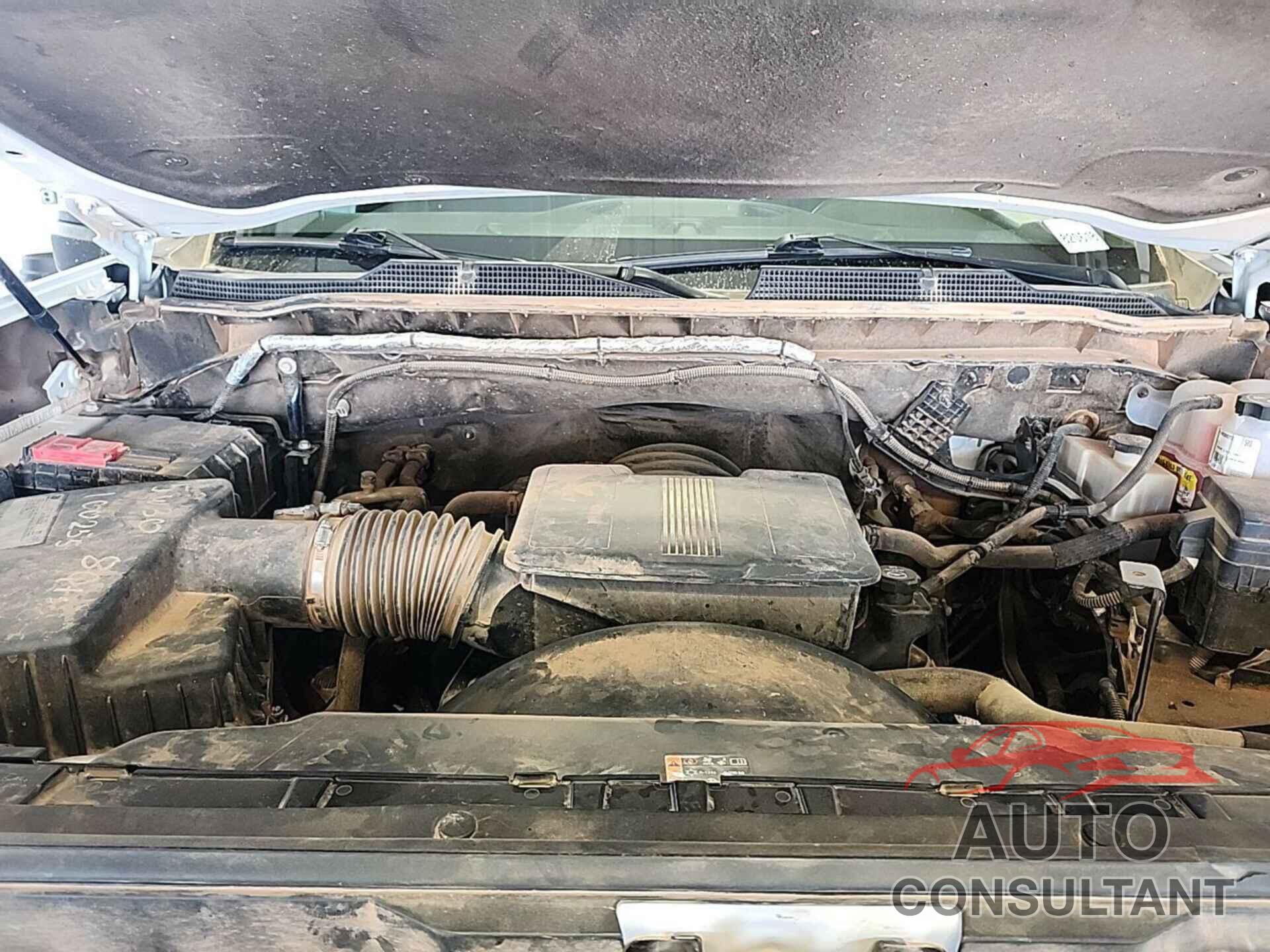 CHEVROLET SILVERADO 2020 - 1GC2YLE76LF191160